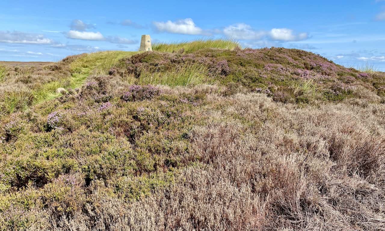 Triangulation pillar on Round Hill, Urra Moor, height 454 metres (1490 feet). This is the highest point in the North York Moors National Park.