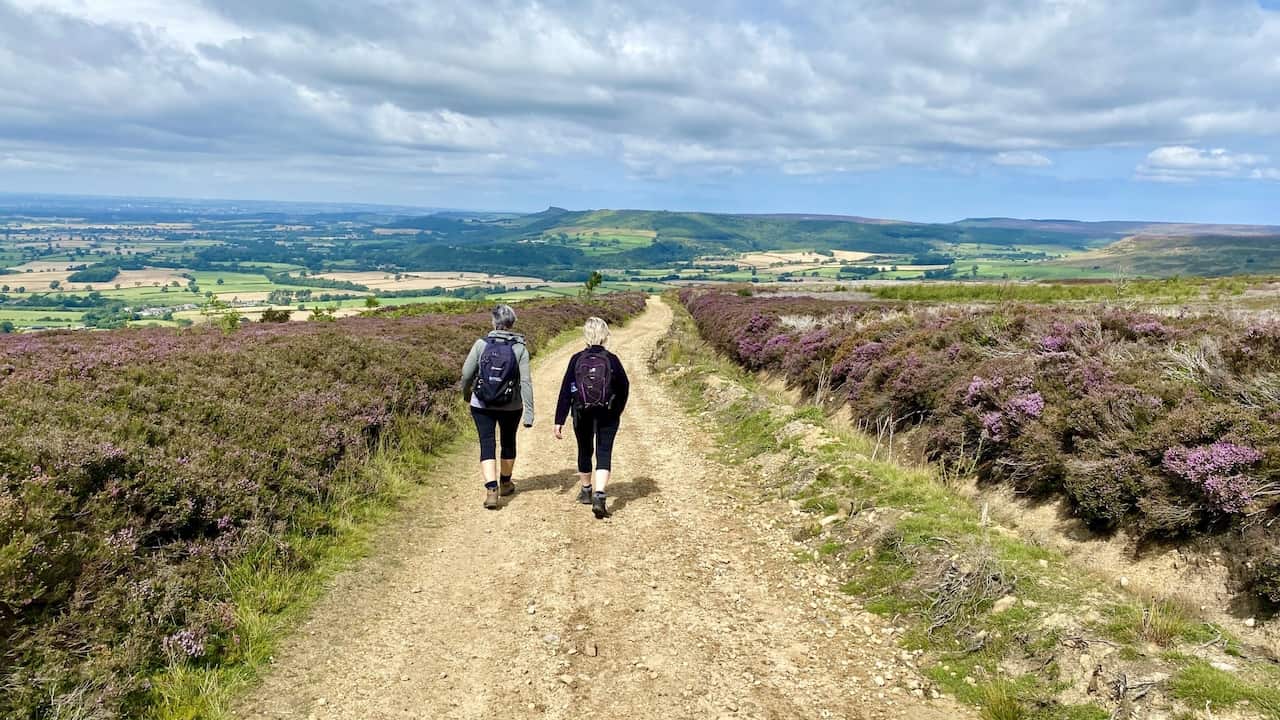 Heading along the moorland track to Ingleby Bank. Roseberry Topping is visible on the horizon in the centre of the picture.