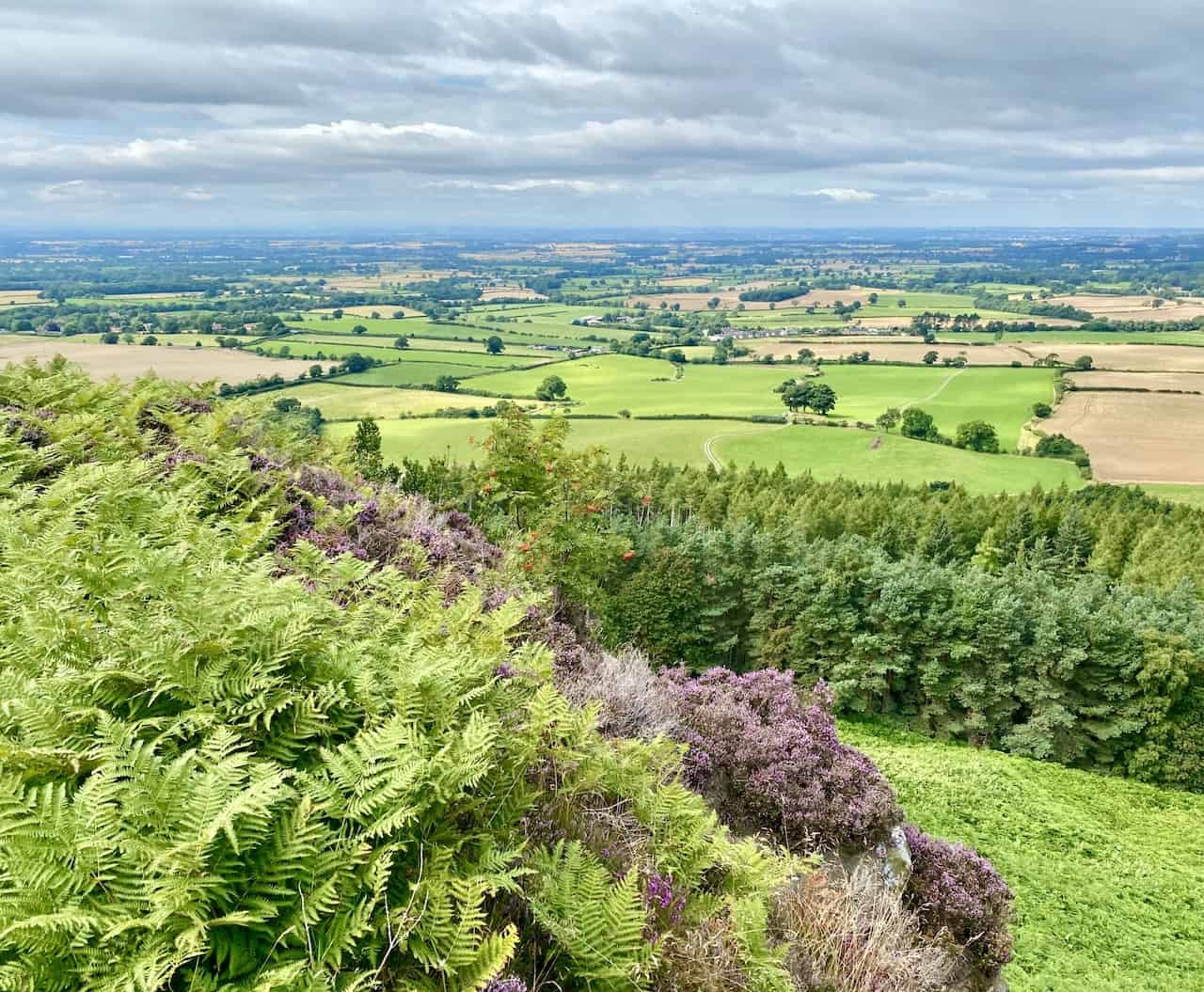 Amazing views from Ingleby Bank across North Yorkshire and the North York Moors. At Ingleby Bank we're about two-thirds of the way round our Urra Moor walk.