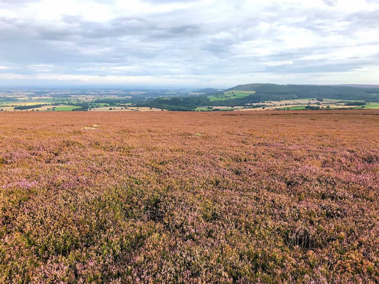The view north-west from Battersby Moor towards Great Ayton and Teesside is a rewarding sight for walkers.
