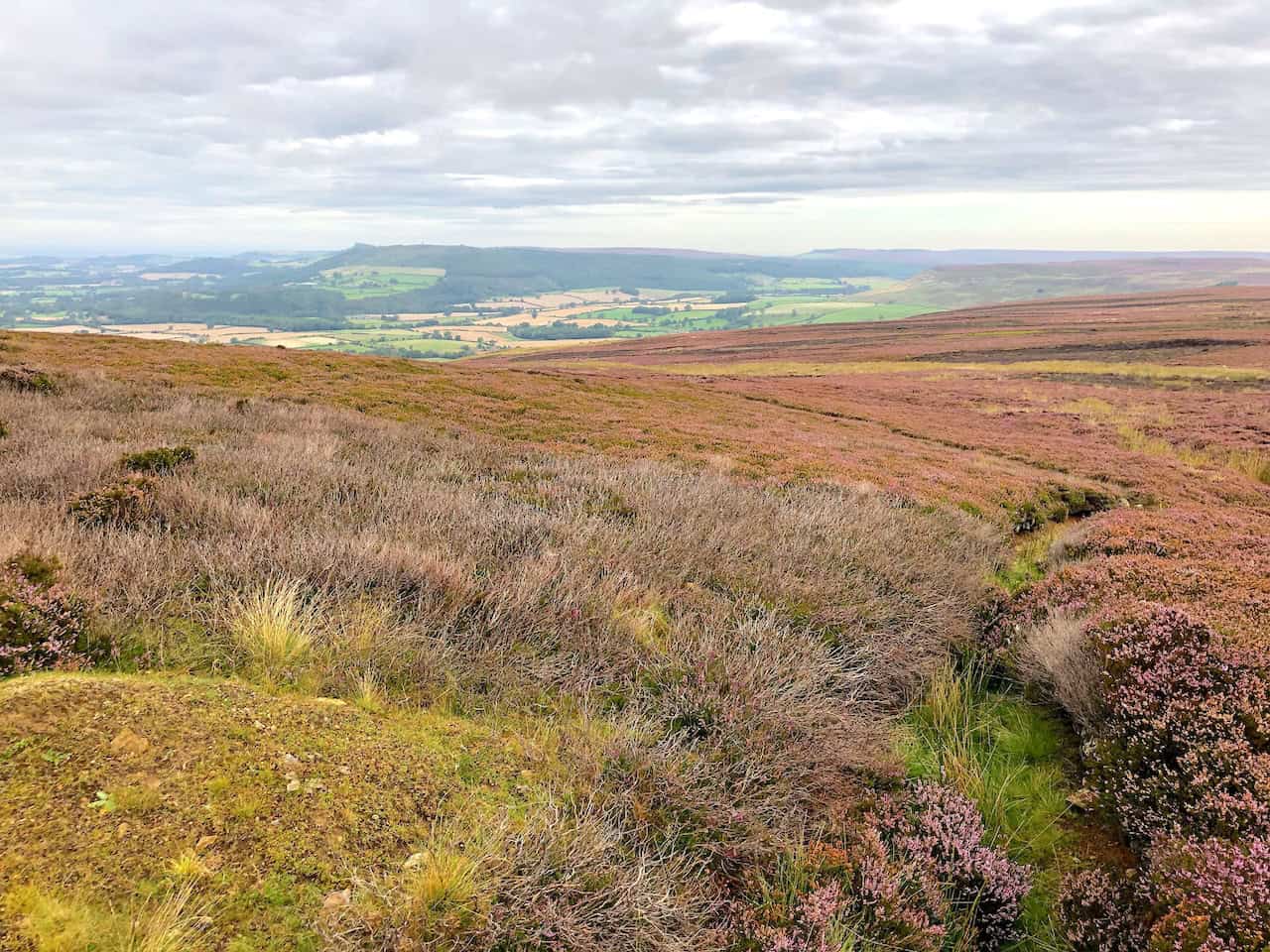 Looking north from the Cleveland Way on Battersby Moor, you can see the distinctive half-cone summit of Roseberry Topping to the left and Highcliff Nab to the right, which overlooks Guisborough.