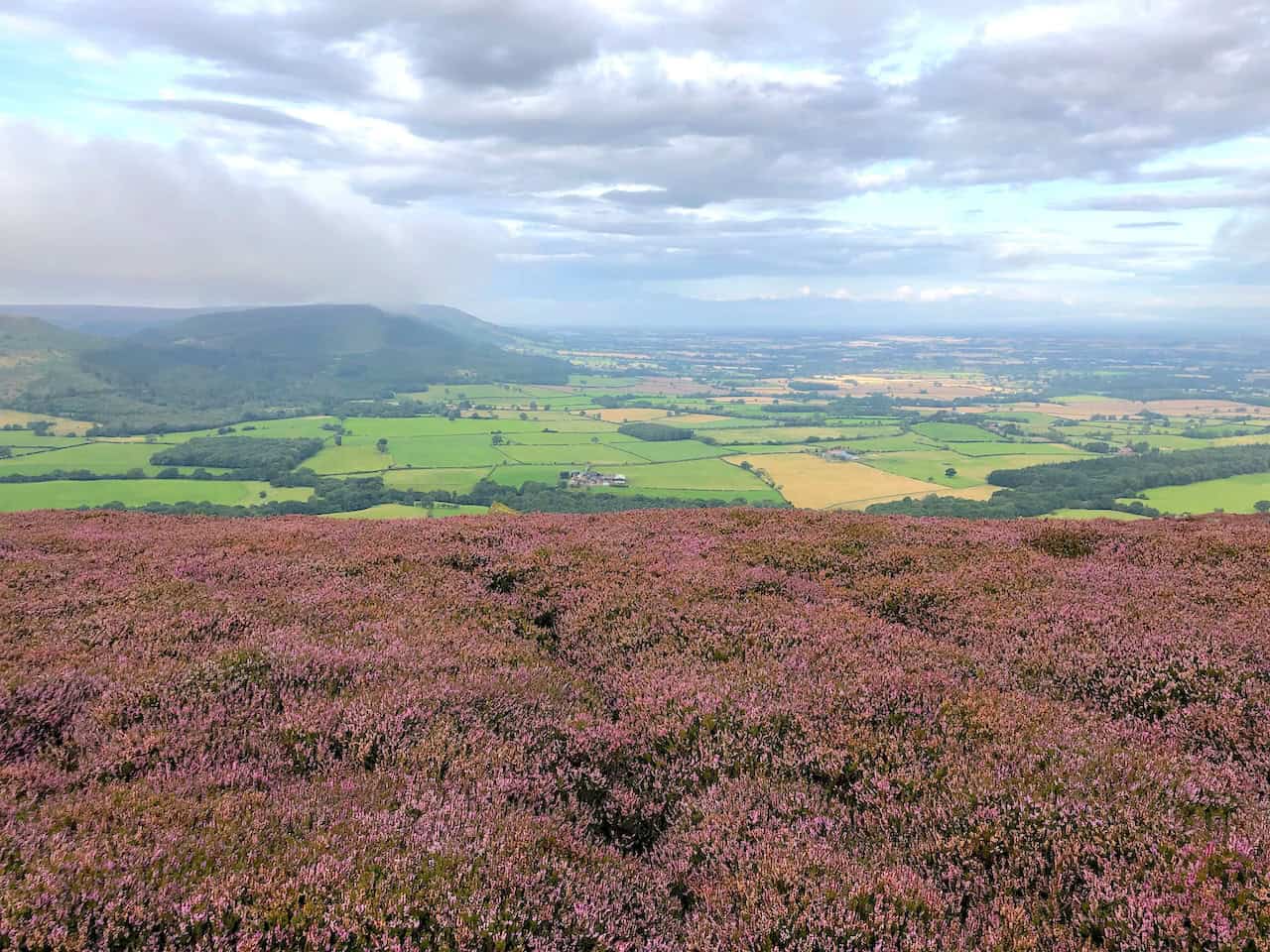 The view west from Ingleby Moor over the Vale of Mowbray highlights the area's natural beauty.