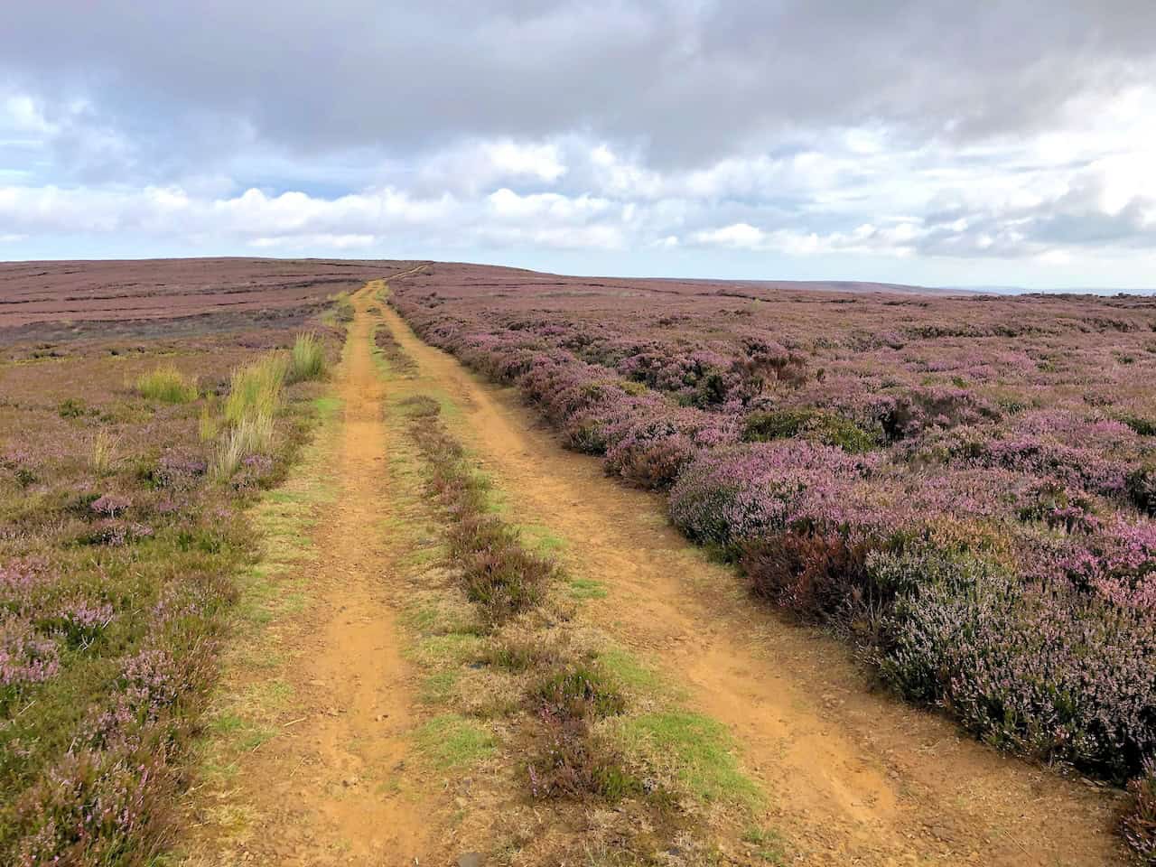 The track across Baysdale Moor is a rugged and rewarding part of the Baysdale Abbey walk.
