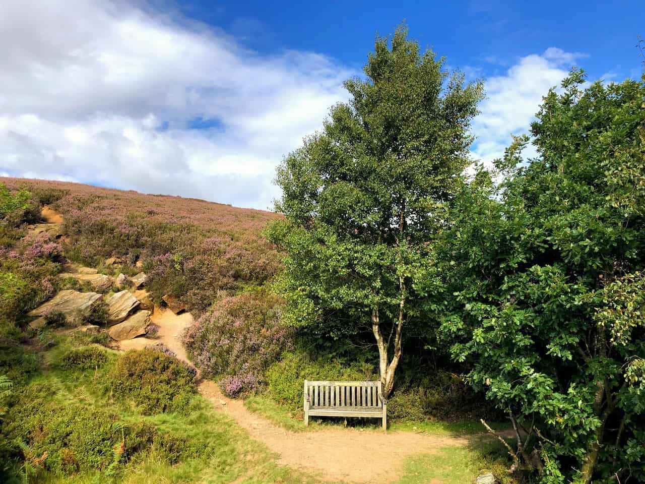 A lovely, sheltered resting place on Great Hograh Moor, in a small ravine created by Great Hograh Beck, offers a peaceful respite.