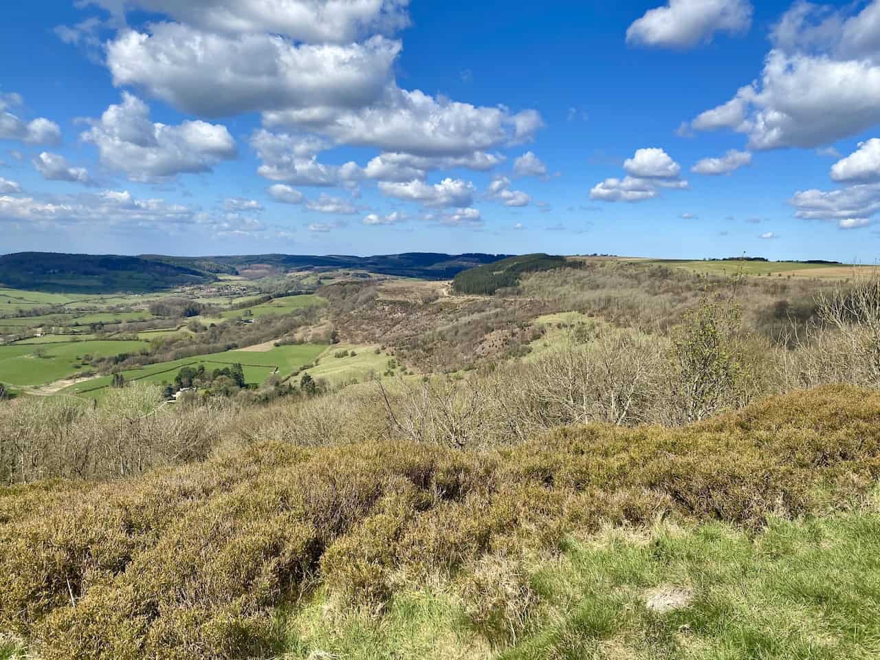 Looking north over Boltby Forest from the top of Whitestone Cliff, presenting a breathtaking panorama.
