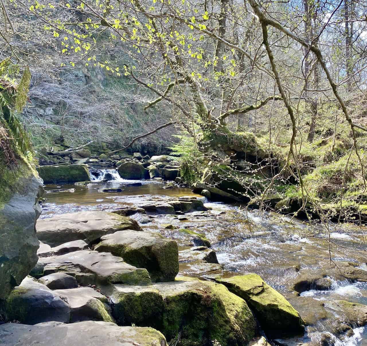 The rocky route alongside West Beck leads to the stunning Mallyan Spout Waterfall. This path adds an adventurous element to any Grosmont walk.