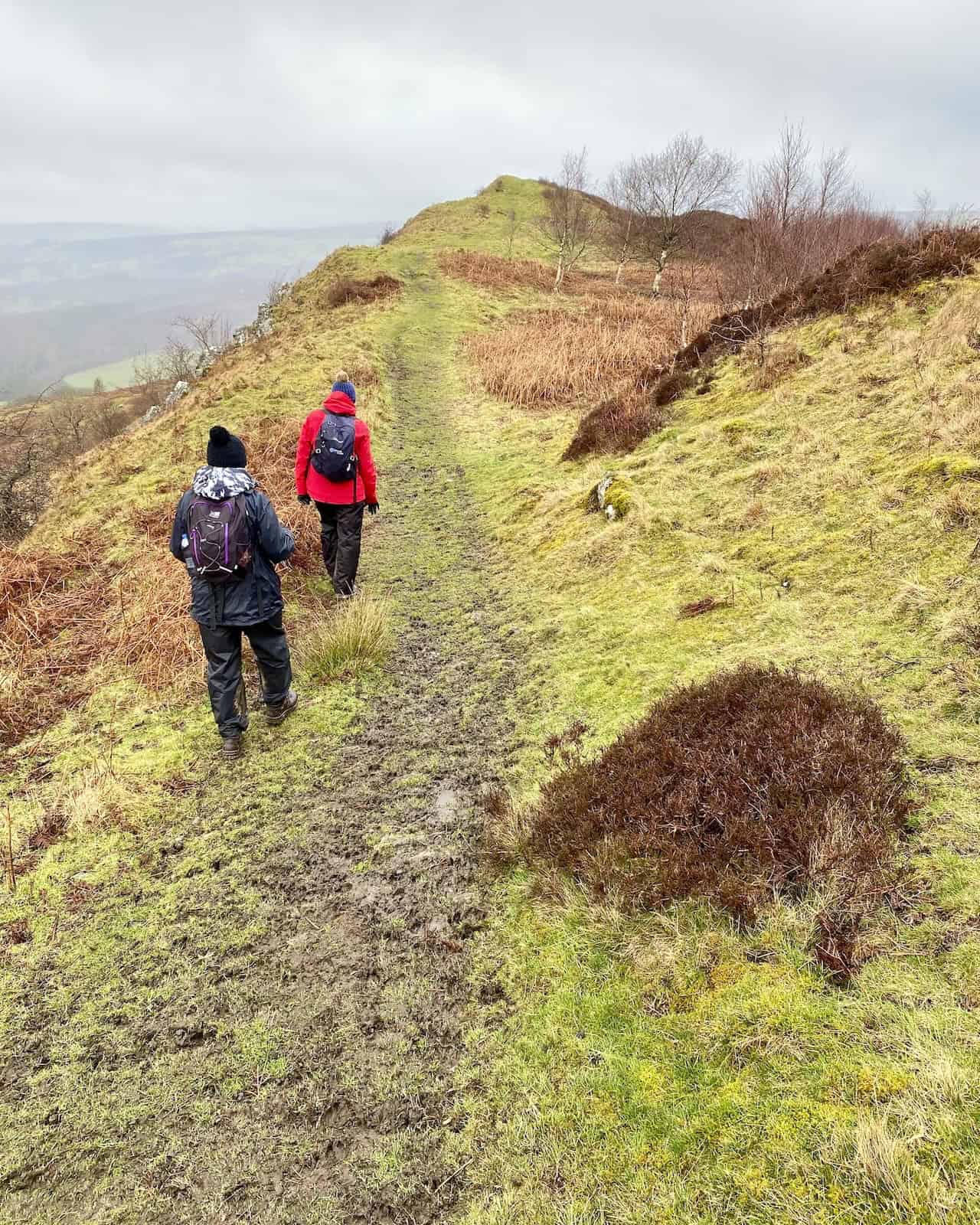The path across the Hawnby Hill ridge. The highest point is at the northern end of the hill, at 298 meters (977 feet).