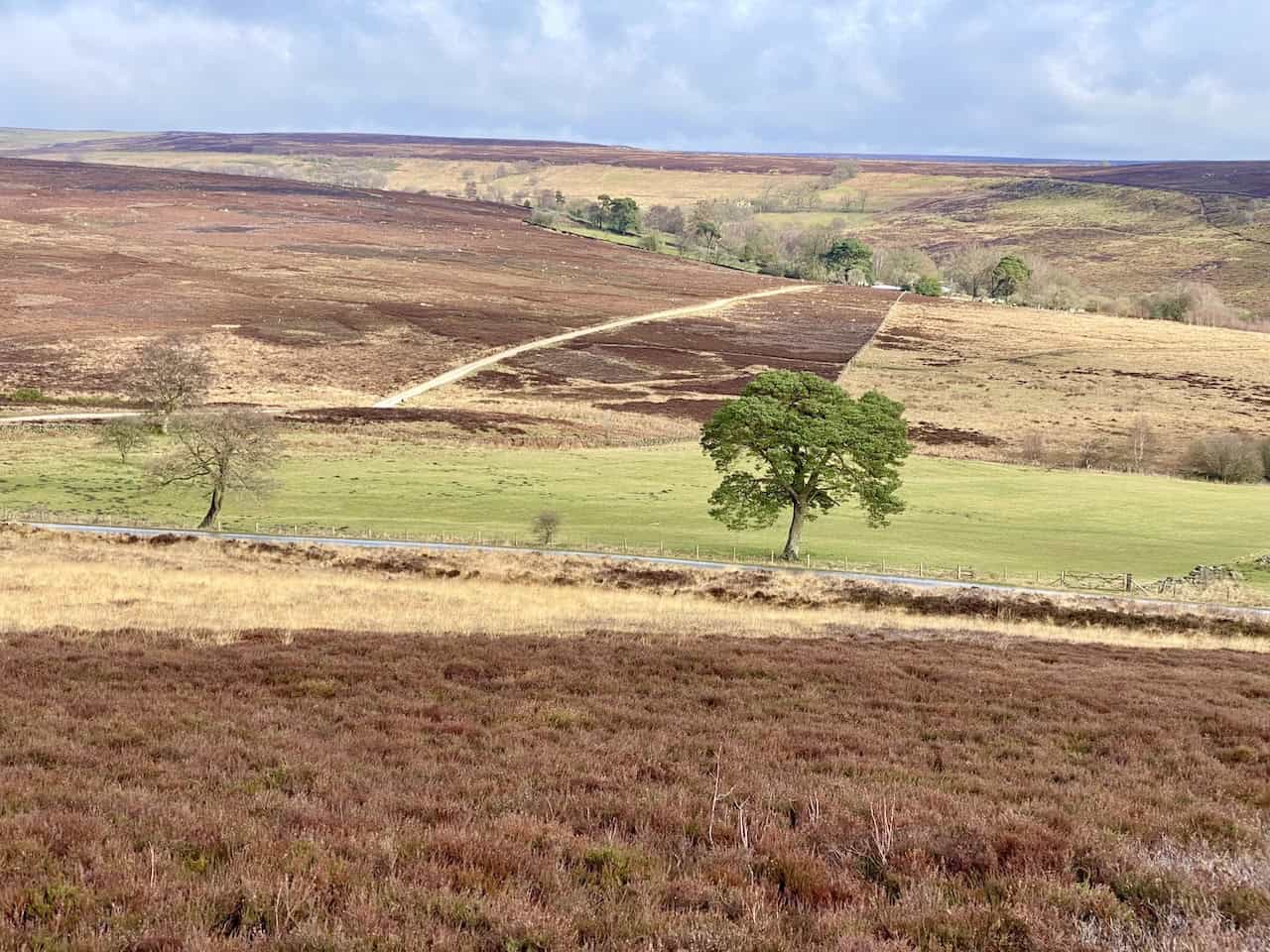 The track across the moorland to Sportsman's Hall is easy to spot from Hawnby Hill.