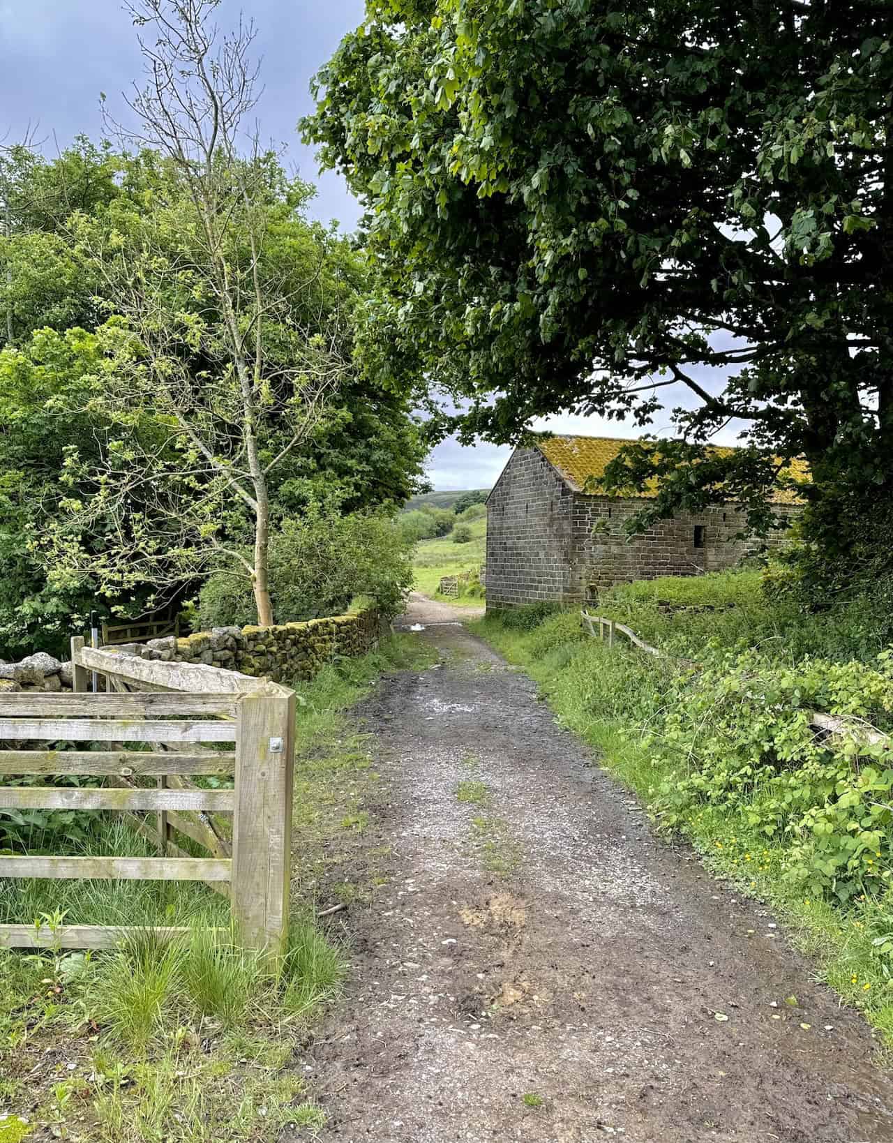 As I approach High House Farm, Daleside Road (Track) transitions from a grassy route to a more substantial stone track.