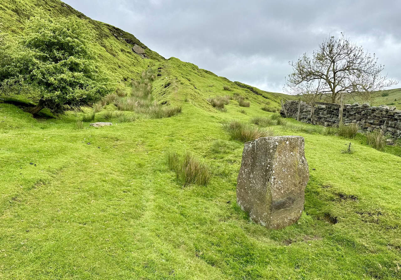 The path through the trees emerges into the open countryside of Thorgill Bank. Progressing upwards, the path is marked by a distinctive large square-shaped boulder on the right-hand side.