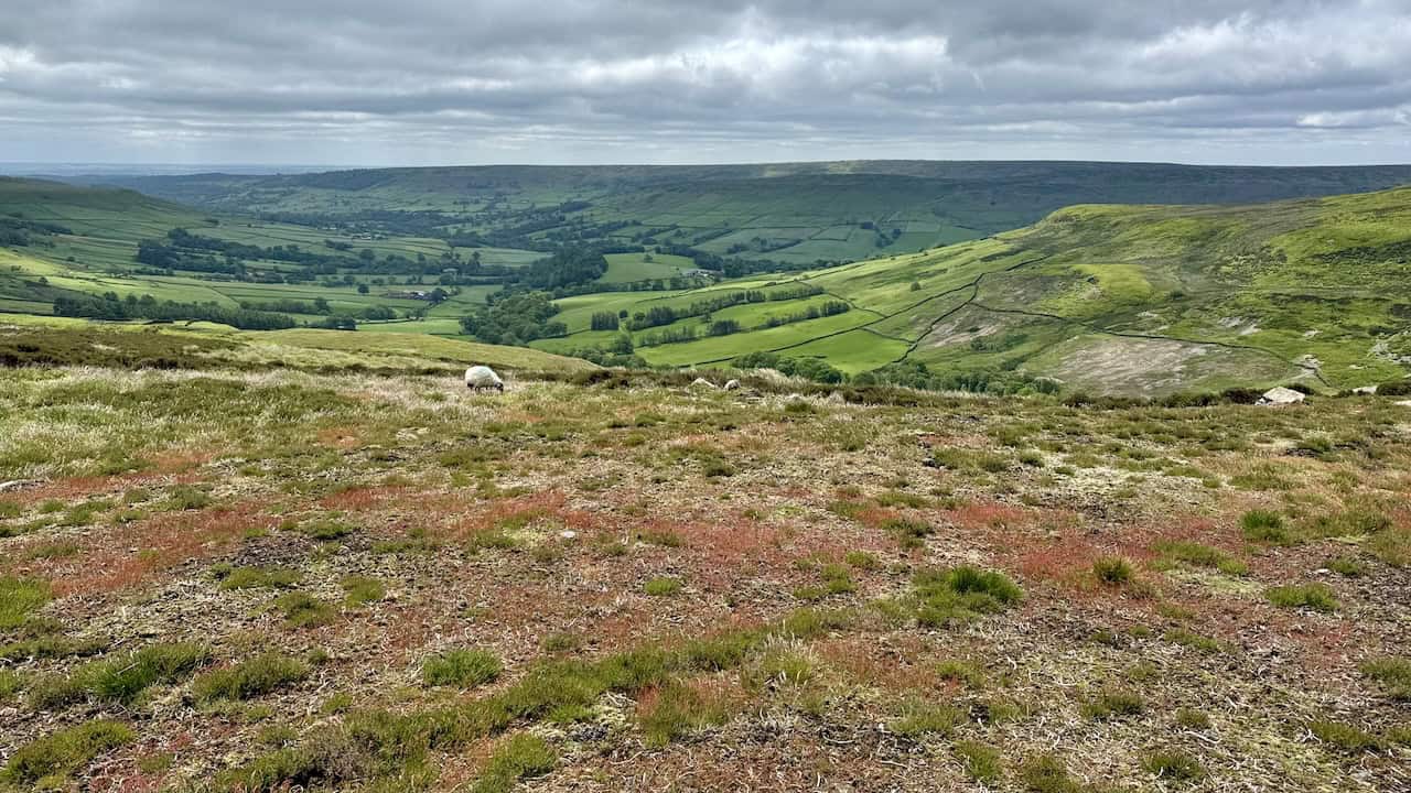 There are great views down into the Farndale valley from the Esk Valley Walk just above Round Crag.
