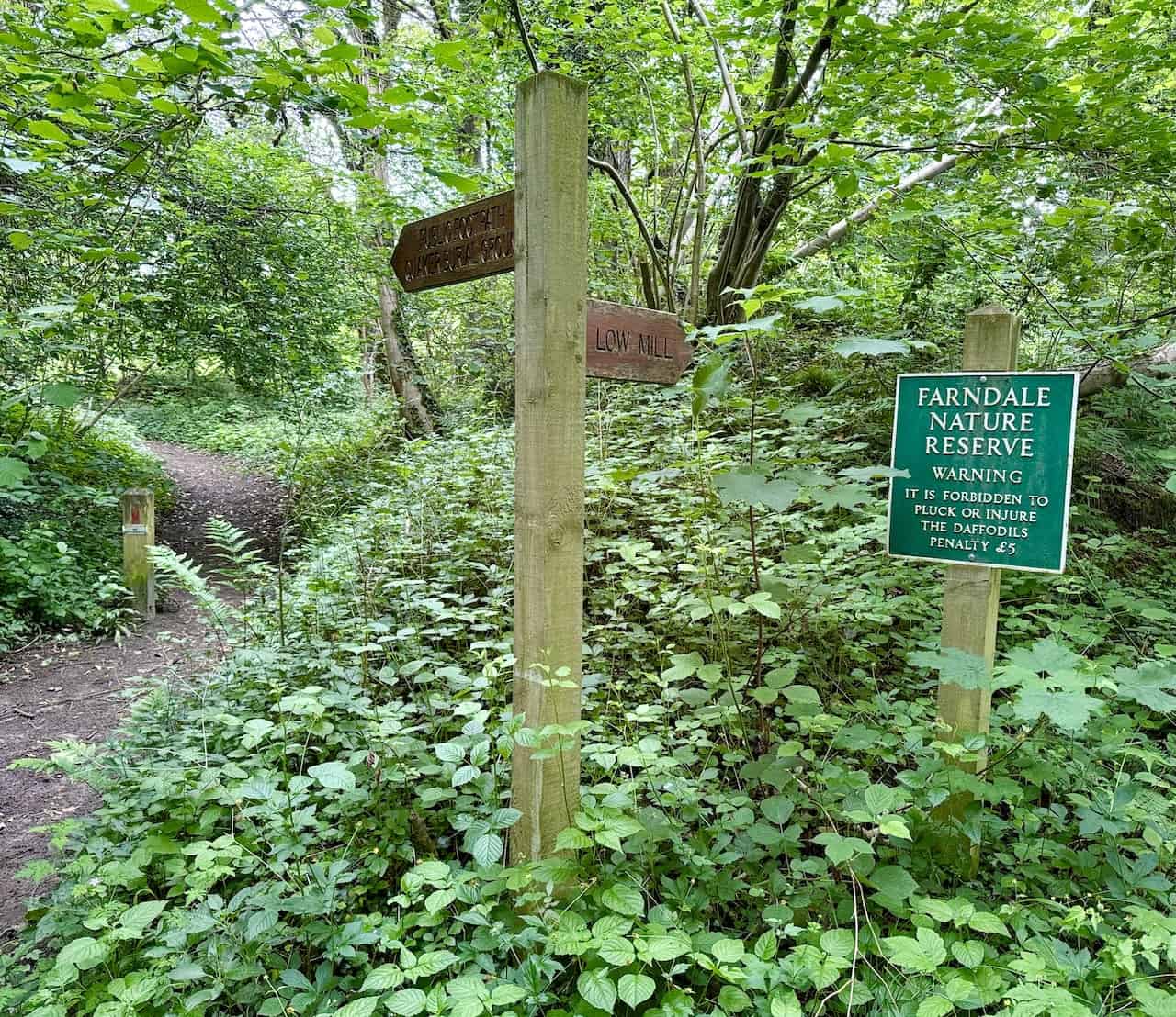 Signpost to the Quaker Burial Ground near the footbridge with a warning sign about not picking daffodils.
