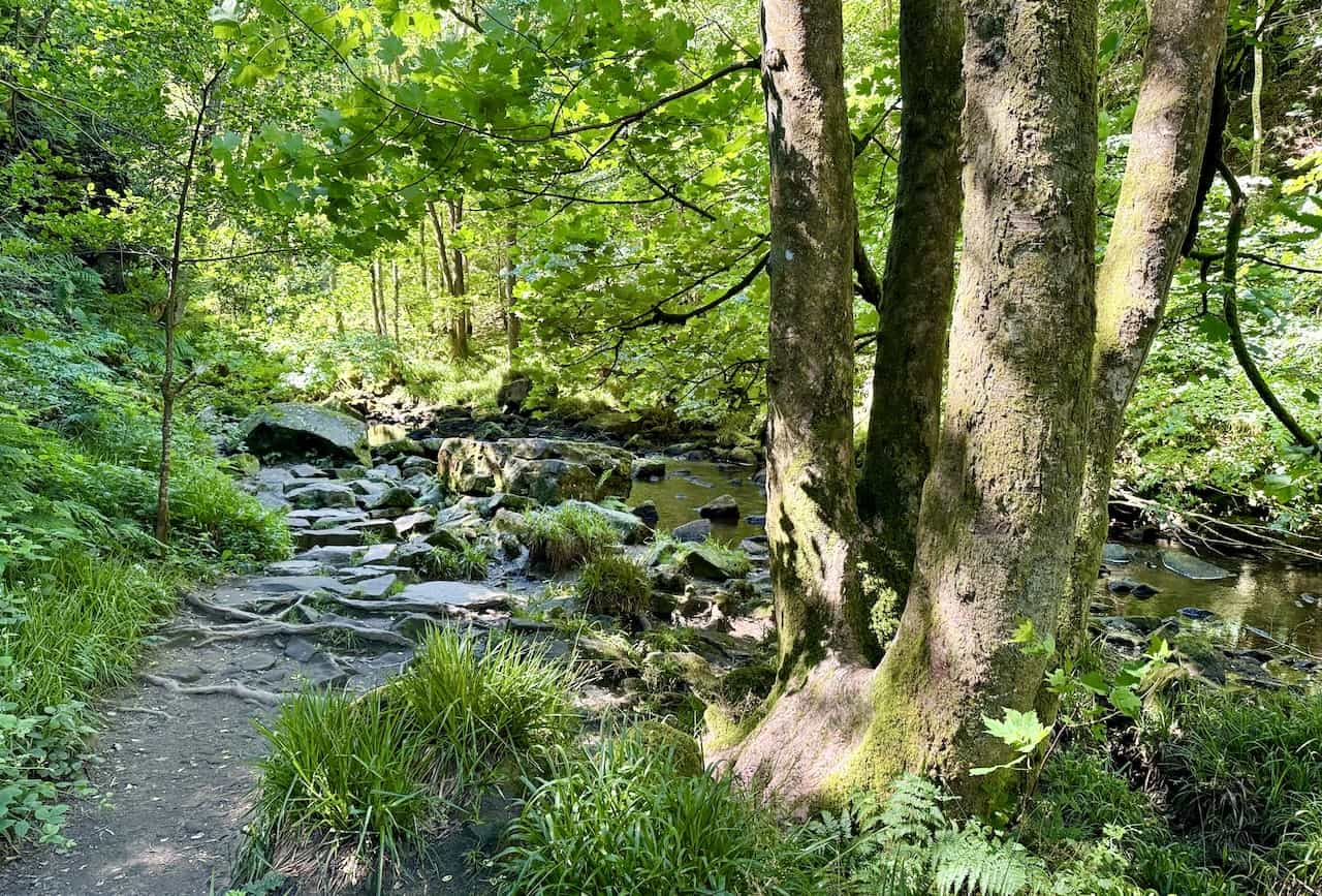 The path from the bench at the bottom of the steps to the Mallyan Spout Waterfall is about 130 metres (427 feet) and follows alongside West Beck.
