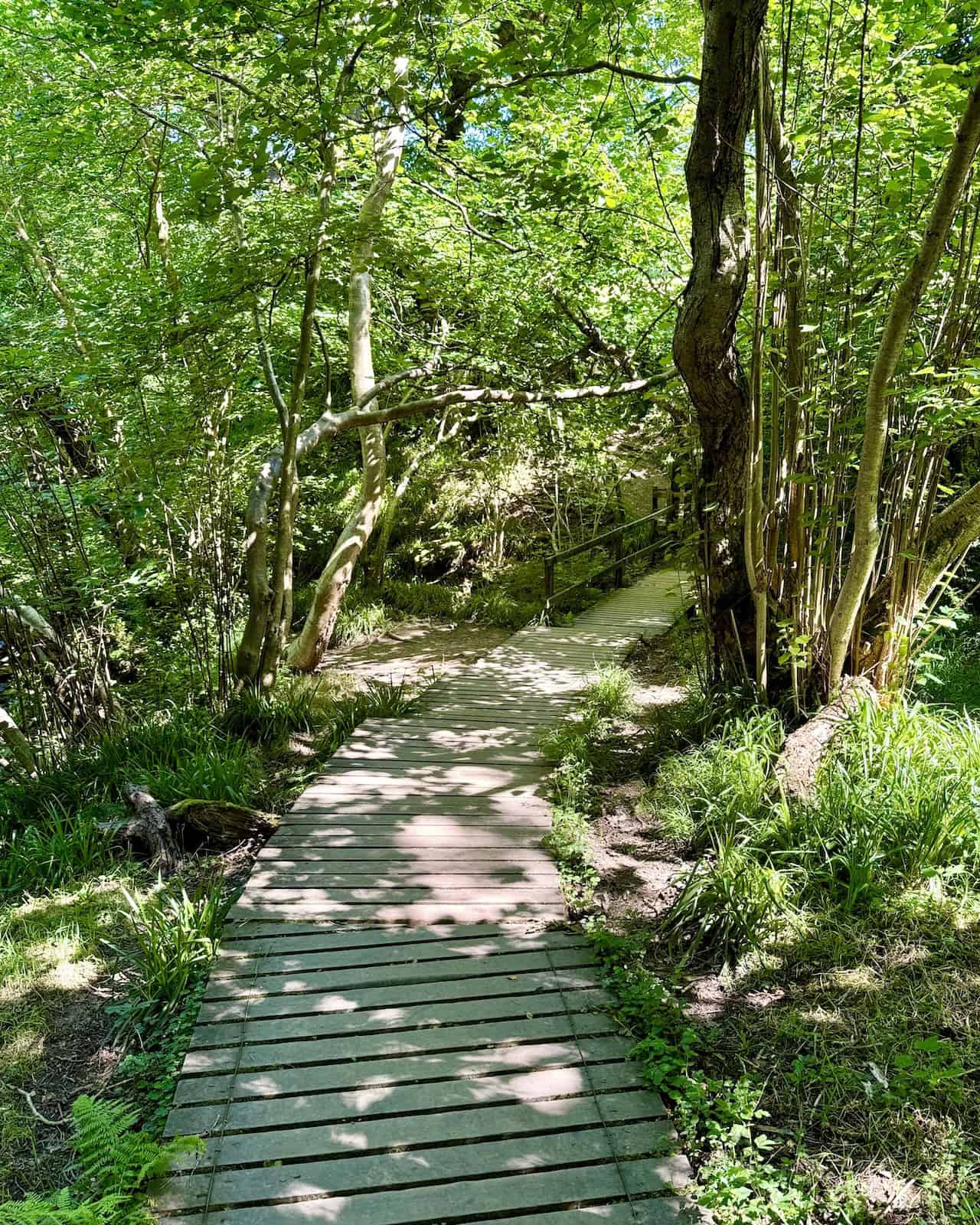 The path follows West Beck north through wooded valleys on boardwalks, then ascends out of the woods with several sets of steps.
