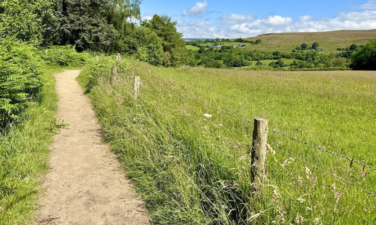 Emerging from the woods, the path follows the side of a grassy meadow. The Goathland walk is family-friendly and suitable for children.
