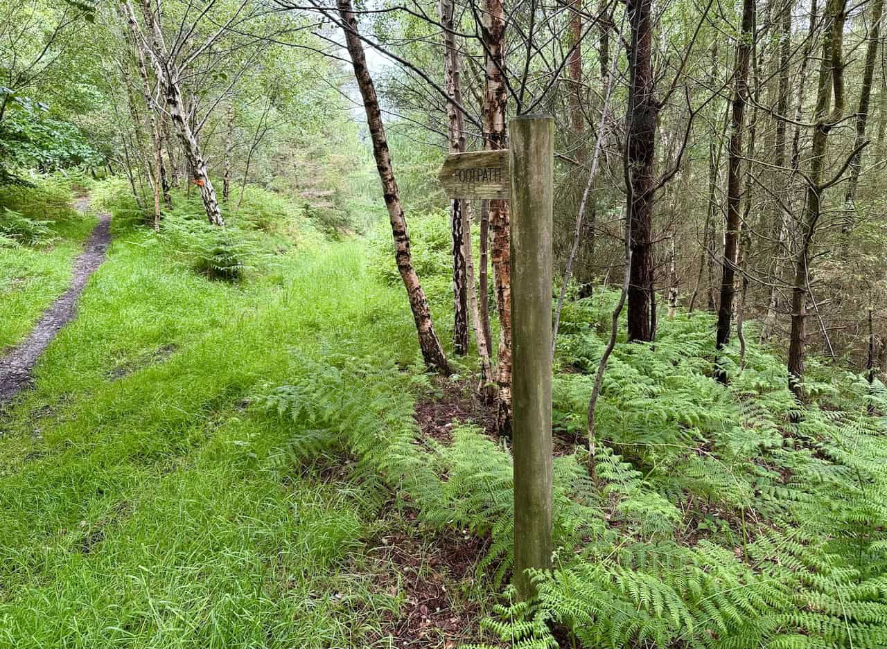 Initially, the path south from the handy bench follows the eastern edge of the woods. It’s marked by a signpost, and it’s best to follow the path and not drop down into the valley too early.