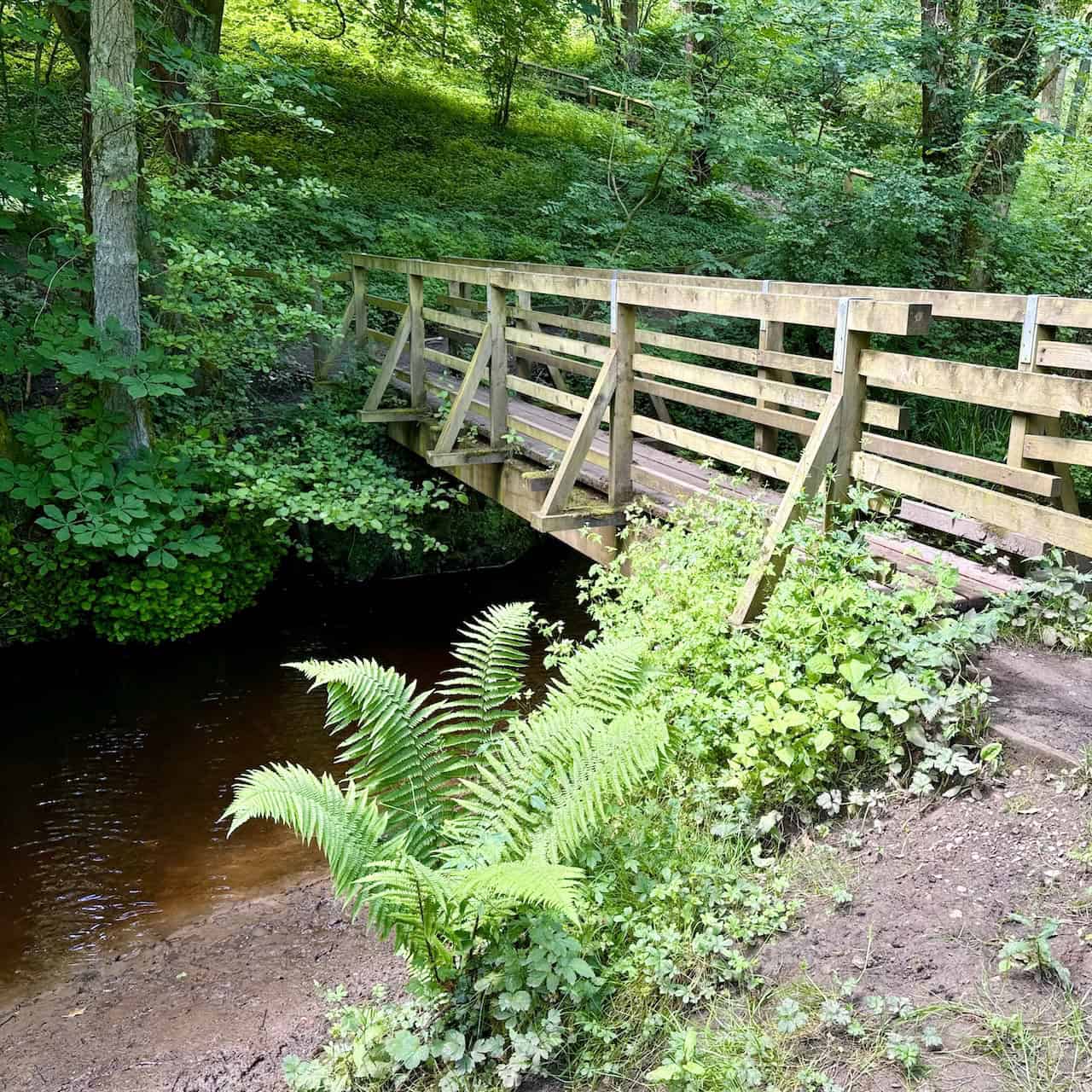 A footbridge crosses Cod Beck in a small, narrow valley on the eastern side of Osmotherley.