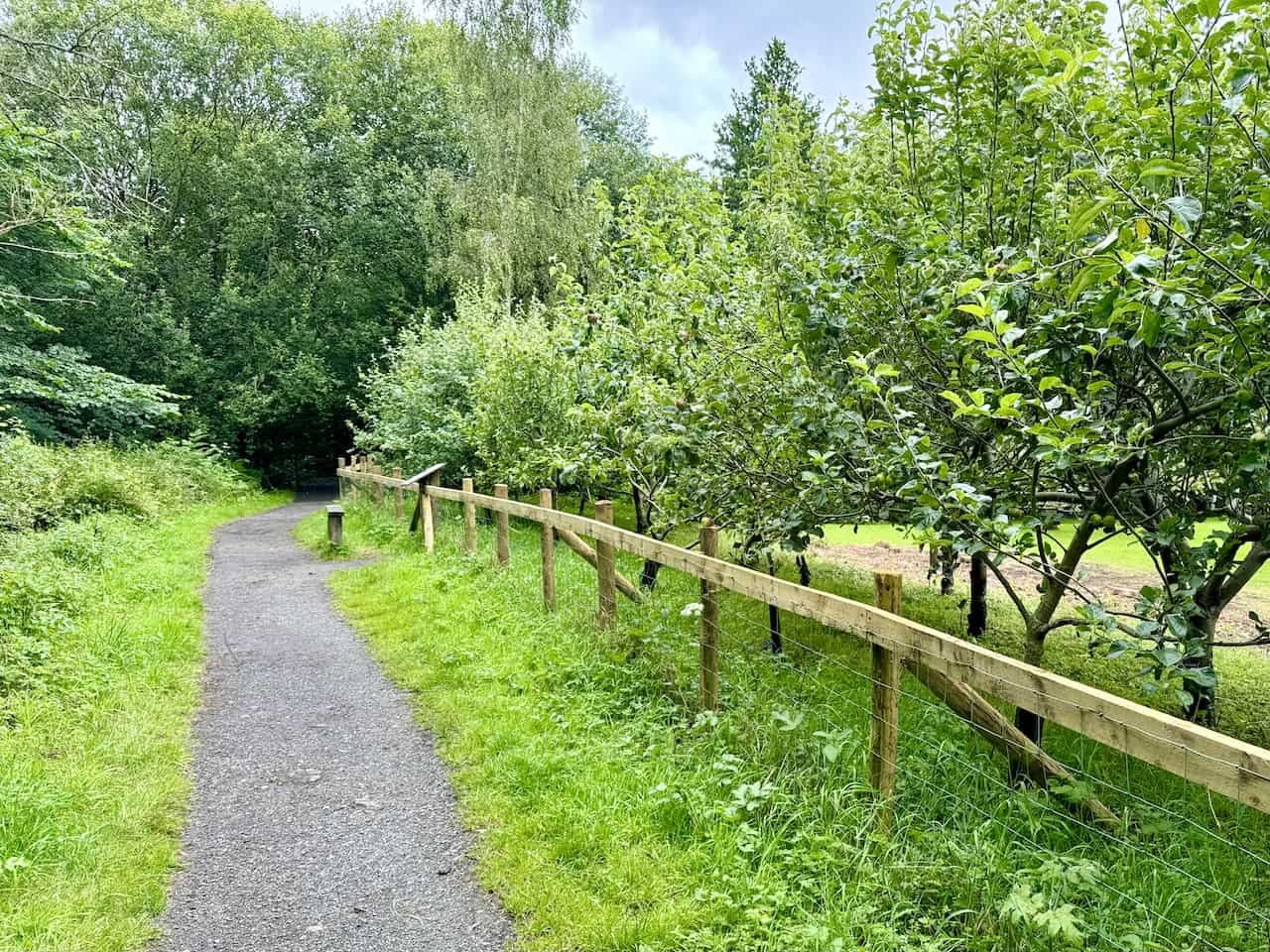 Beck Hole orchard by the side of the Rail Trail. The orchard, planted in 2009 to mark the bicentenary of Goathland Primary School, features 20 different varieties of heritage apple trees.