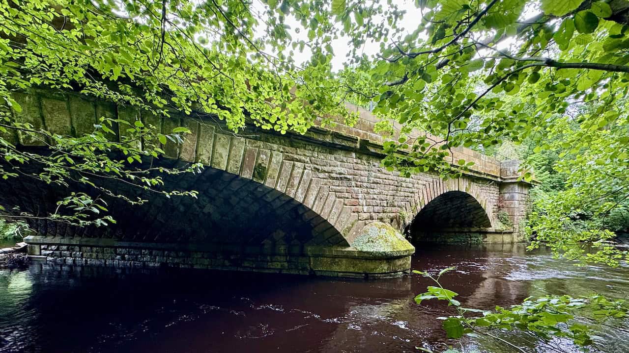 Twin Arch Bridge, which once carried heavy steam locomotives. Steps lead down to the river to view the bridge from below. The current North Yorkshire Moors Railway line is higher up in the trees to the east. This bridge is a point of interest on the Goathland to Grosmont walk.