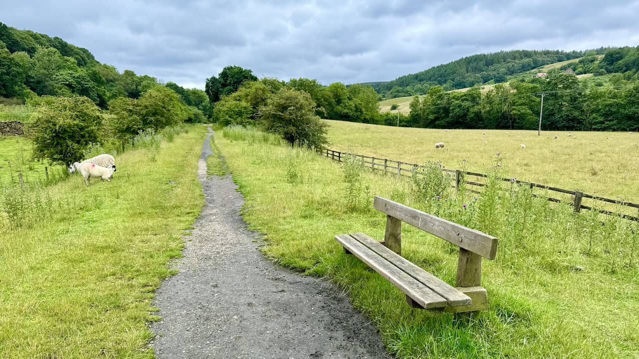 The peaceful Rail Trail on the Grosmont to Goathland walk, flanked by greenery, benches, and grazing sheep, offering a picturesque experience.