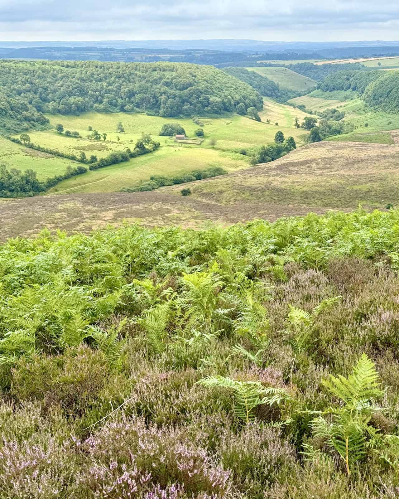 Southern view into the Hole of Horcum from the Tabular Hills Walk, revealing a dramatic hollow and the barn at Low Horcum surrounded by a dry stone wall.