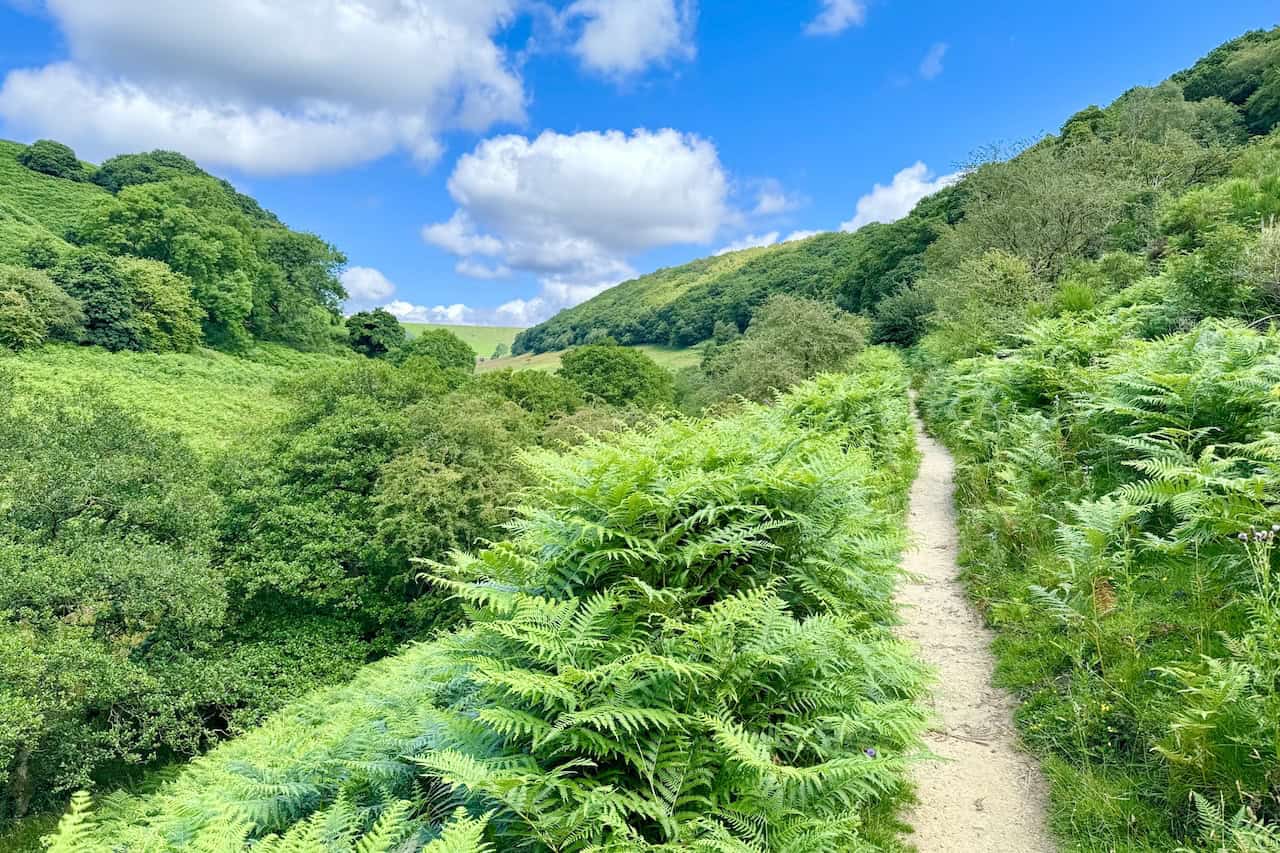 Delightful section of the Hole of Horcum circular walk, with a path through the valley on the way to Horcum Slack, lush and green in summer.