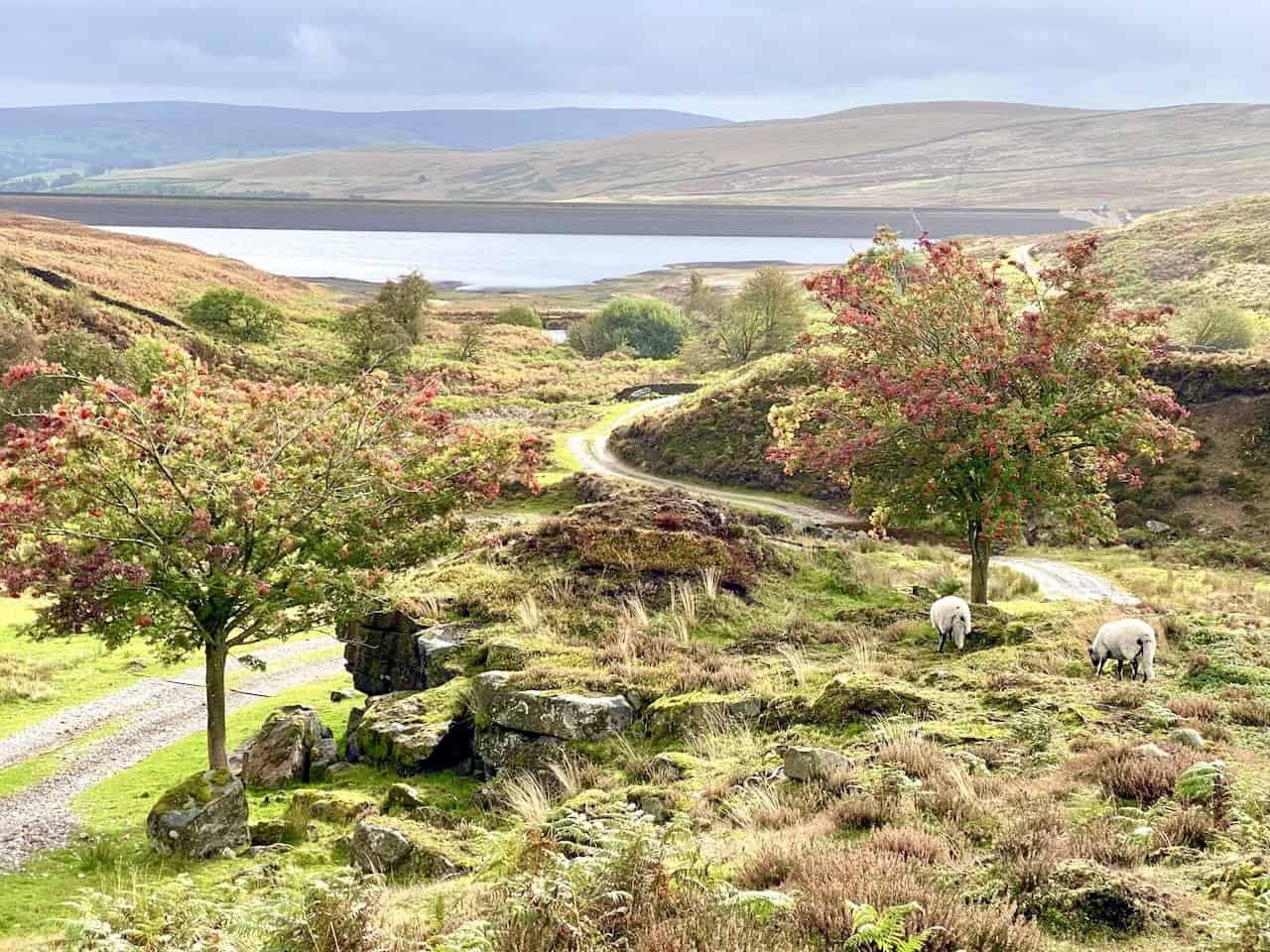 Stunning view of Lower Barden Reservoir from the grouse shooting shelters near Brass Castle, highlighting the reservoir's scale.