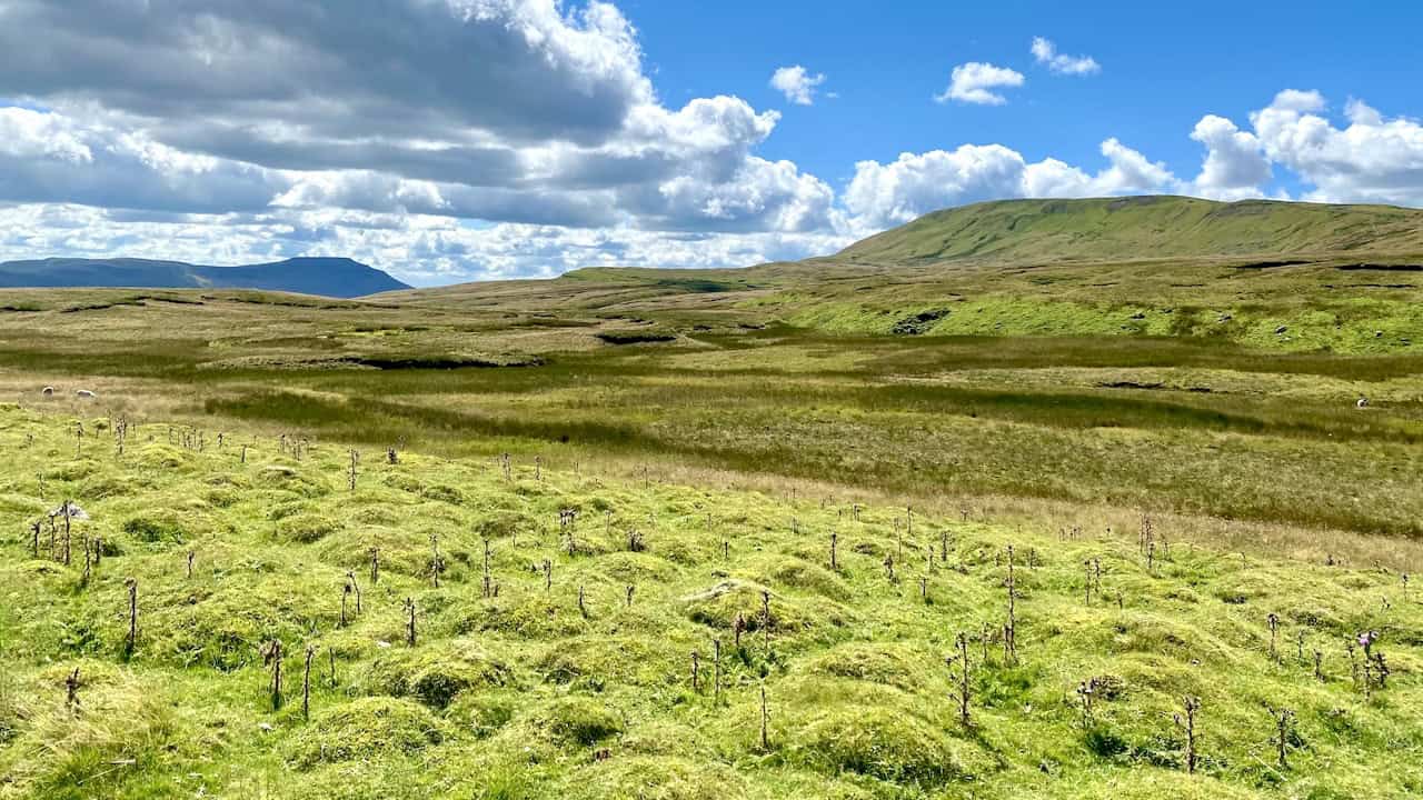 A panoramic view from Craven Wold, featuring Whernside on the right and Ingleborough on the left, seen along the Dales High Way.