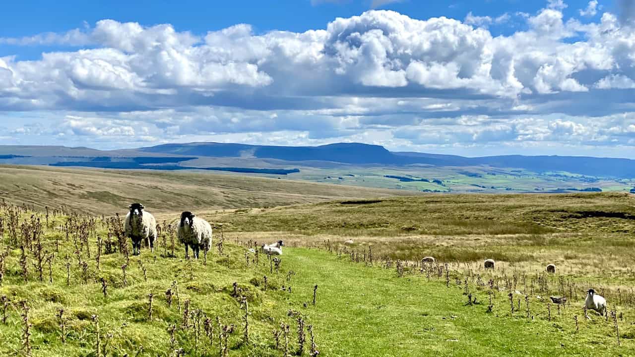 A stunning south-east view from Craven Wold towards Pen-y-Ghent, captured while descending towards the aqueduct at Smithy Hill.