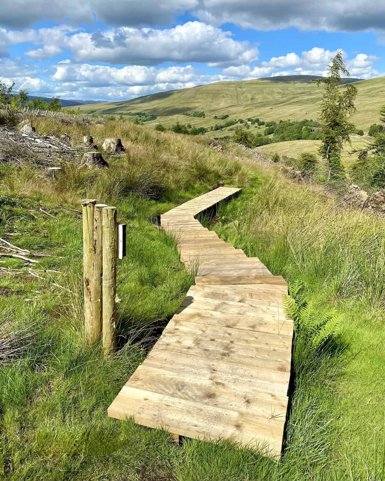 One of the walking boards across the boggy ground near Mossy Bottom, helping walkers traverse the challenging terrain with ease on the Dentdale walk.