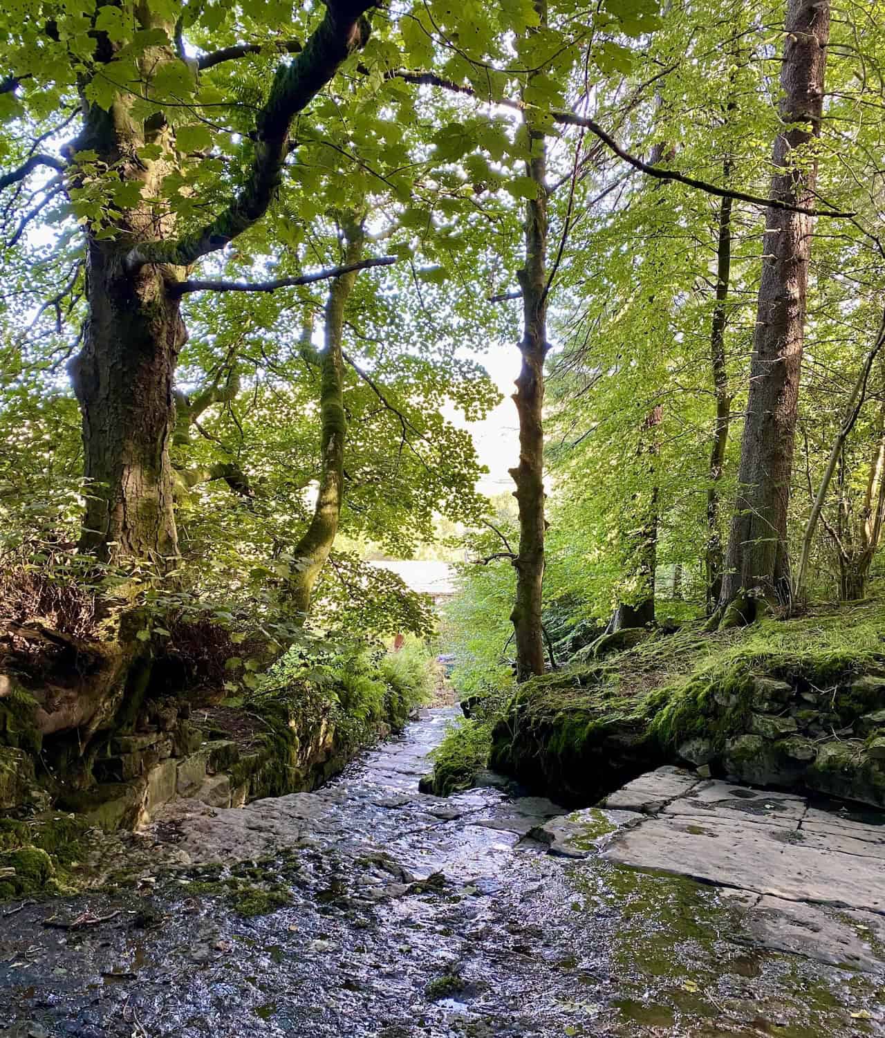 Waters of Flinter Gill cascading over the ‘Dancing Flags’ near Dent village, where local weavers historically waulked their woven cloth, believed to be frequented by fairies.