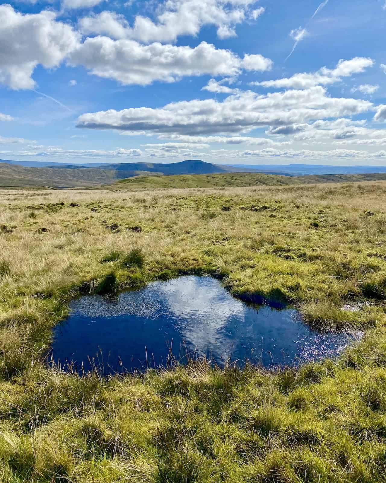 A glimpse of Ingleborough with its distinctive flat plateau, seen from the south-east of Crag Hill.