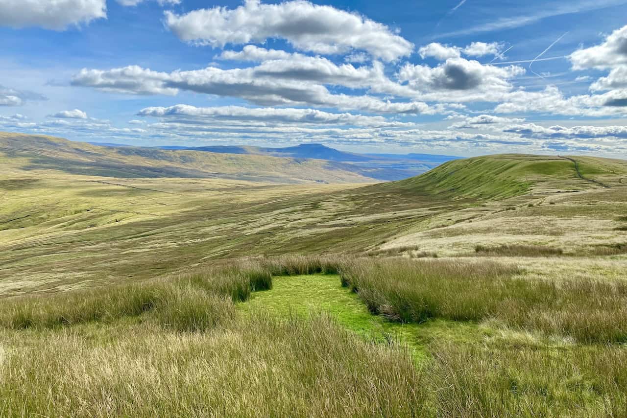 Another view of Ingleborough from Gatty Pike, where the descent eastward to the bridleway is planned, using a dry stone wall as a guide.