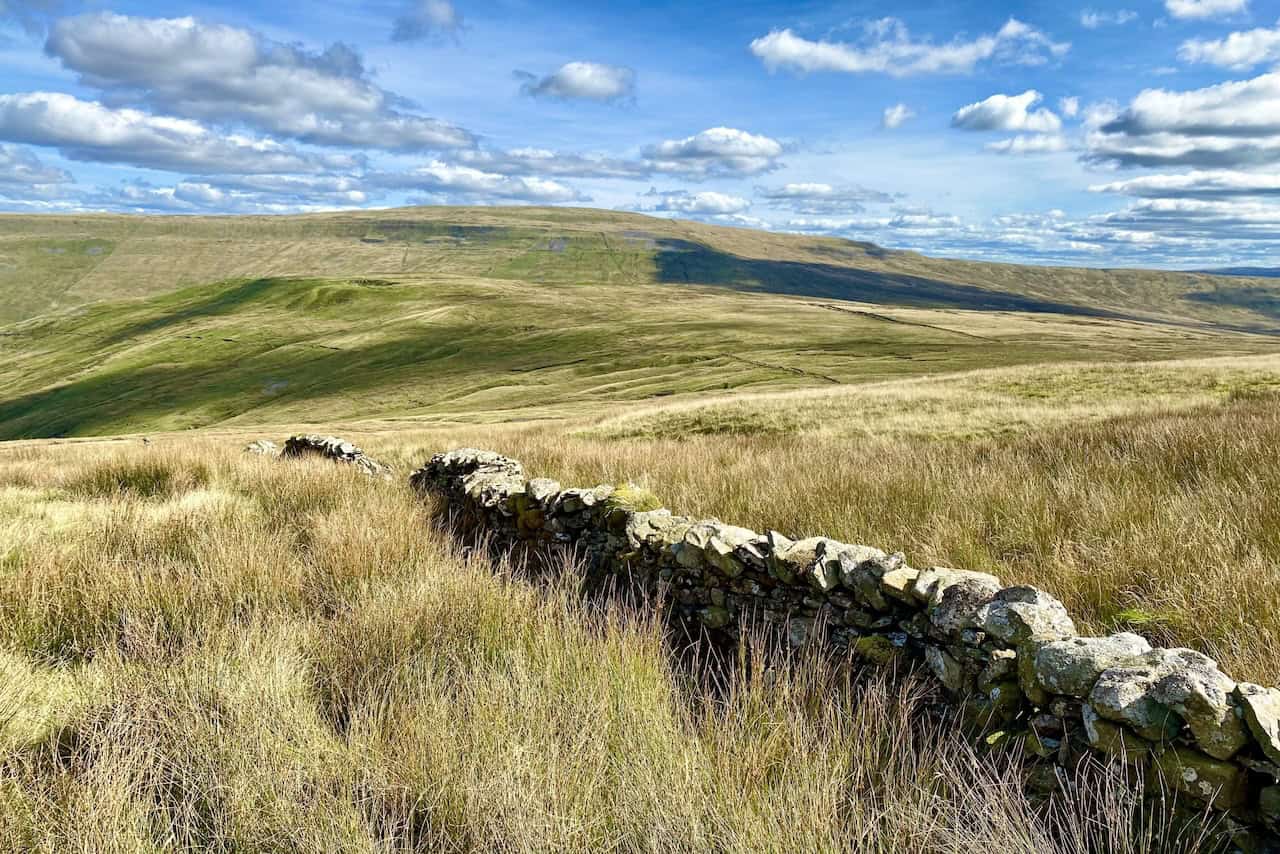 The western slopes of Whernside visible just over two miles away, seen while following a dry stone wall downhill.
