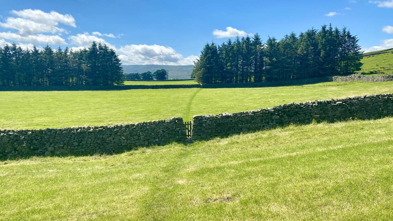 Heading west across grassy paths and farmland towards Sedbusk on the northern side of Wensleydale valley.