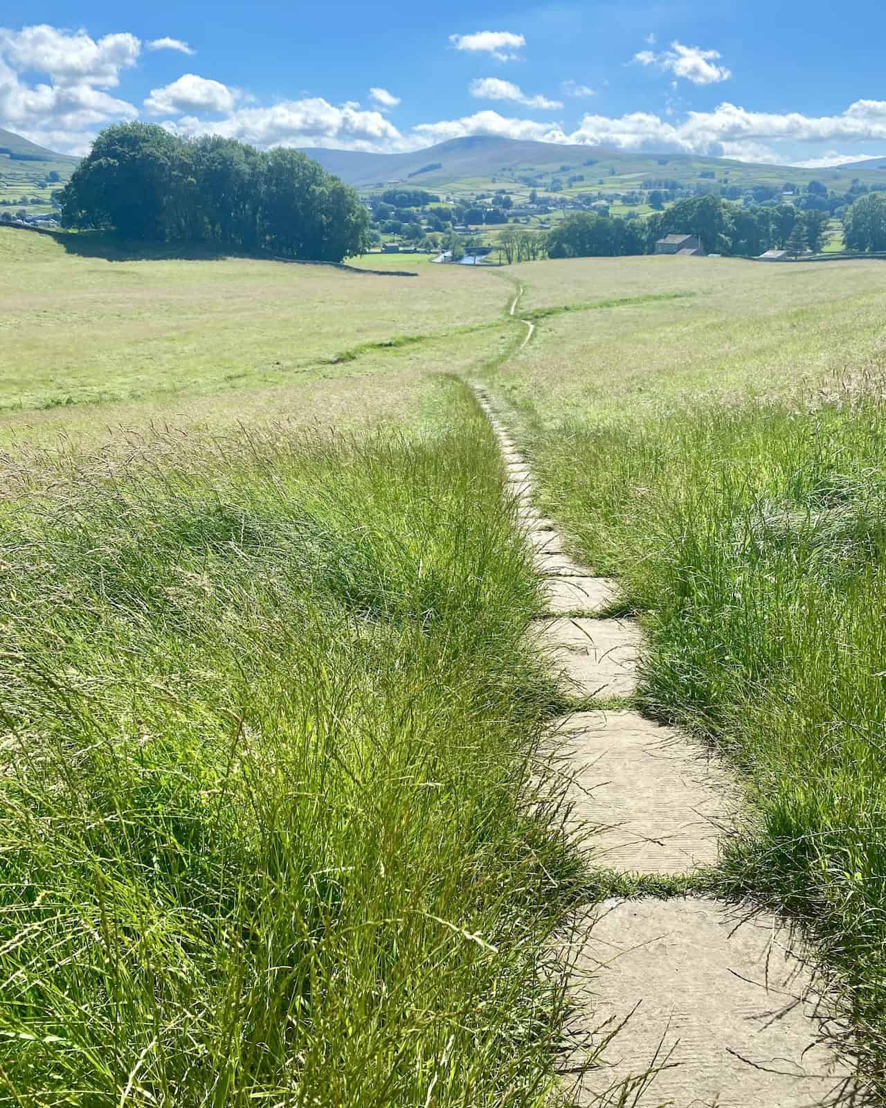 Stone-flagged path from Sedbusk down to Haylands Bridge, a feature of the later stages of my Hawes walk.