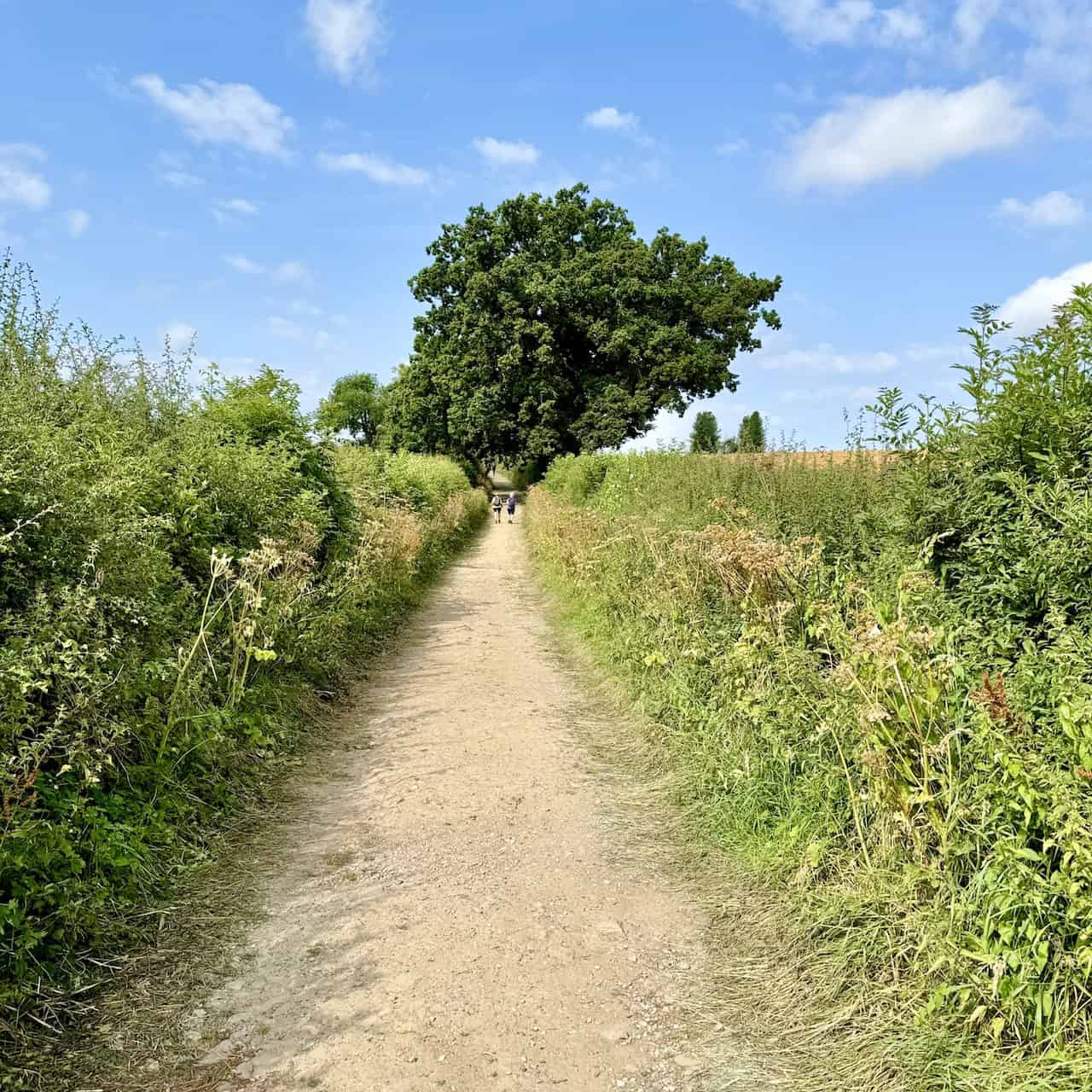 The path starting from the stone monument in Helmsley, heading west across fields with a large oak tree on the right.
