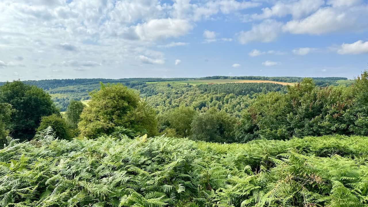 A panoramic view of the surrounding landscape from Griff Lodge at the top of Jinny York Bank.
