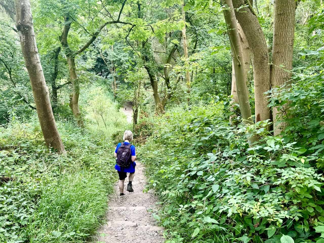 The stone steps in Blackdale Howl Wood, descending into a small ravine and ascending on the other side.
