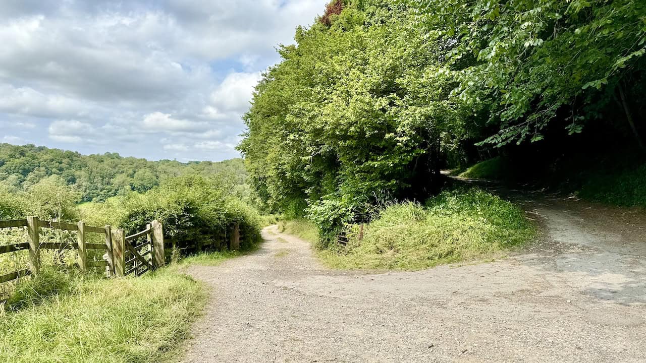 Fork in Air Bank Wood, taking the left-hand track downhill towards Bow Bridge.
