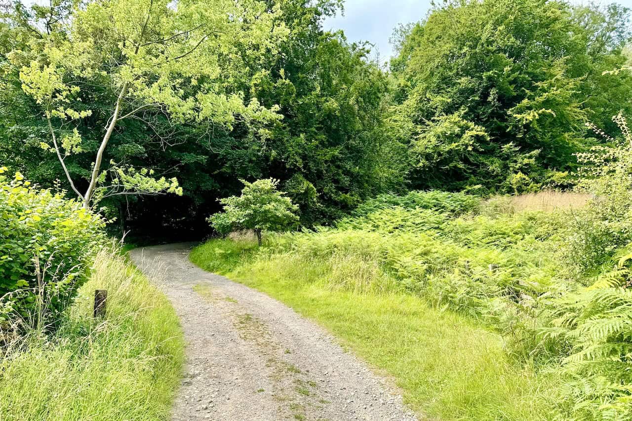 Stone track veering right into woodland after Bow Bridge, continuing uphill through Lambert Hag Wood.
