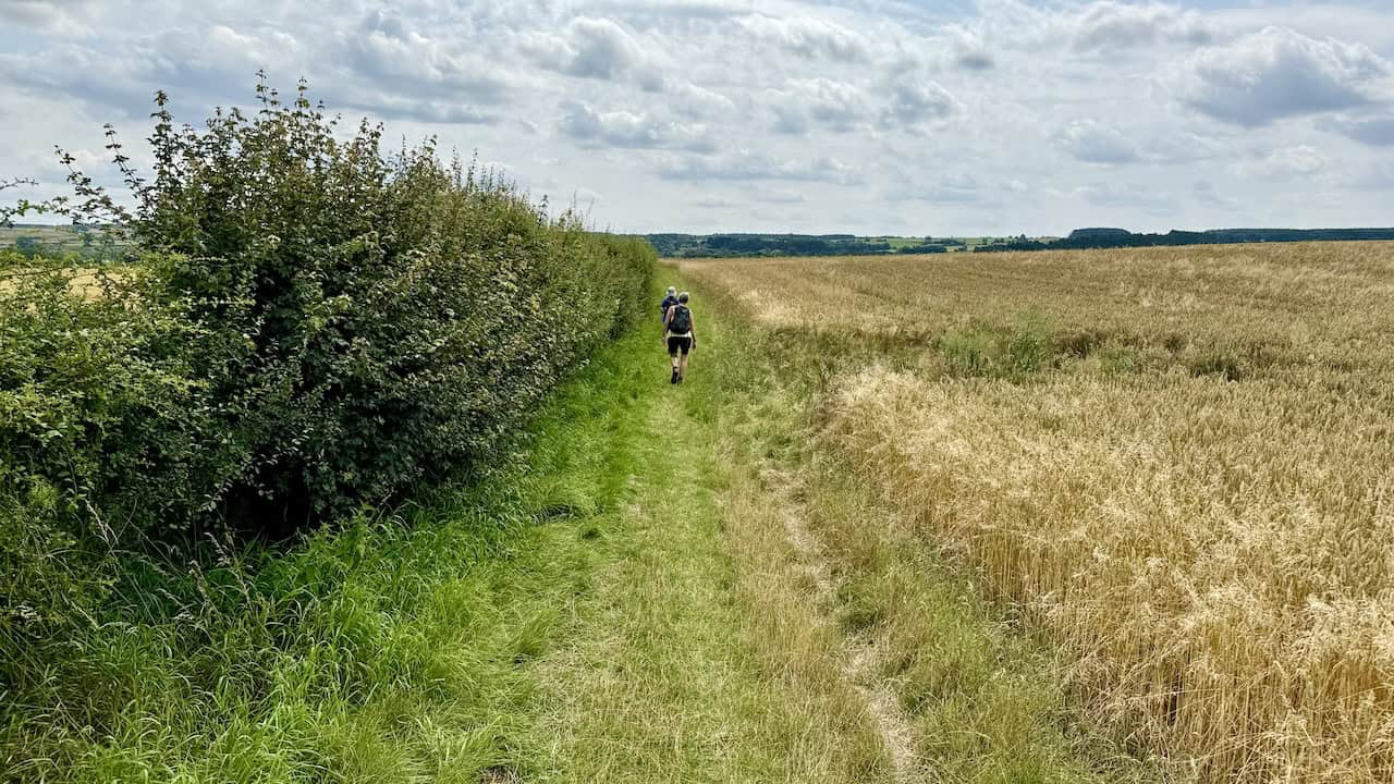 Path south along the edge of fields, approaching Callister Wood.
