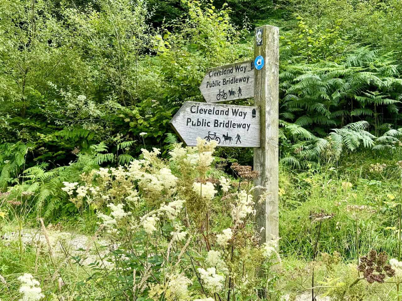 Rejoining the Cleveland Way National Trail after the stepping stones, heading back to Helmsley.
