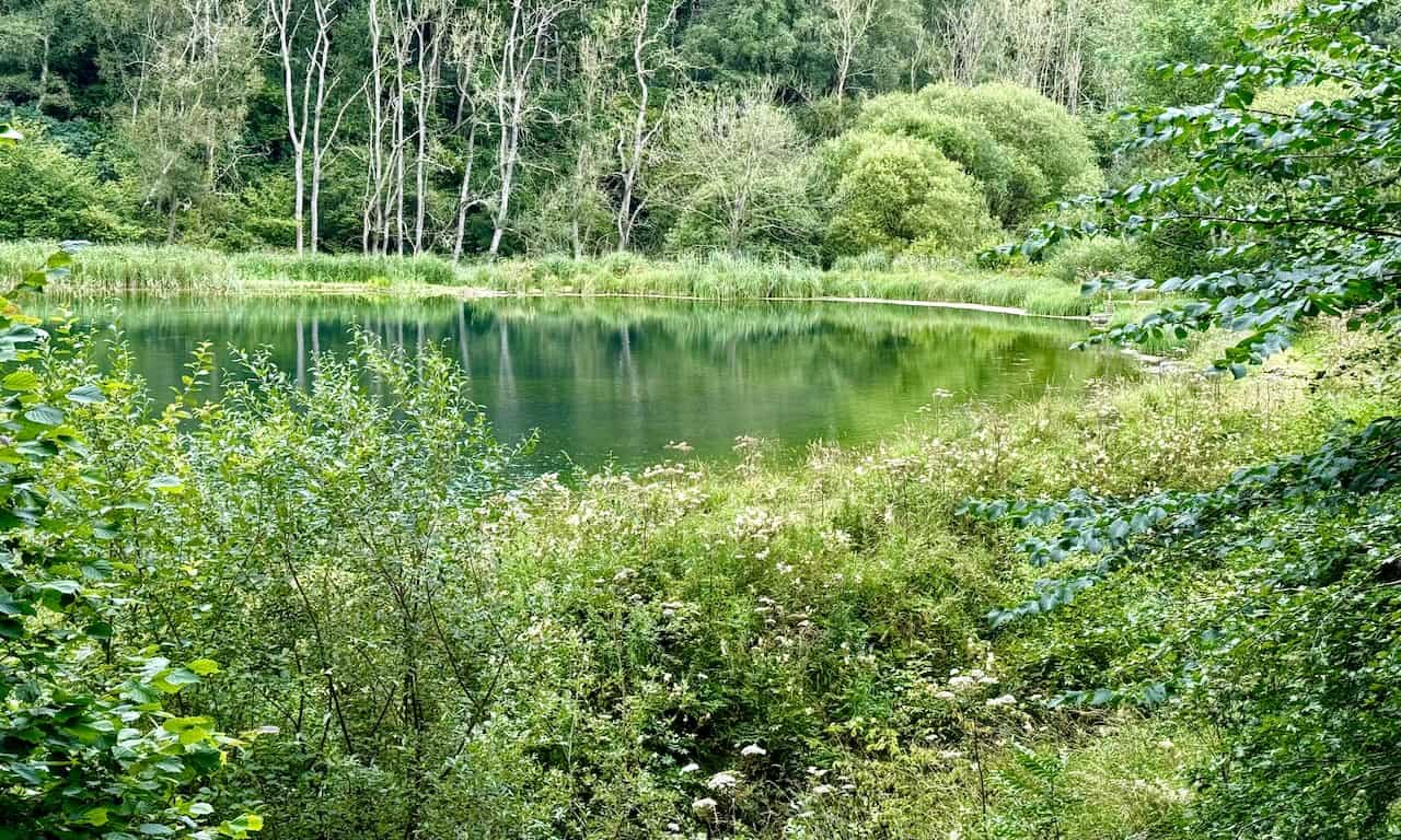 Eastward path through Nettle Dale, passing four ponds on the left.
