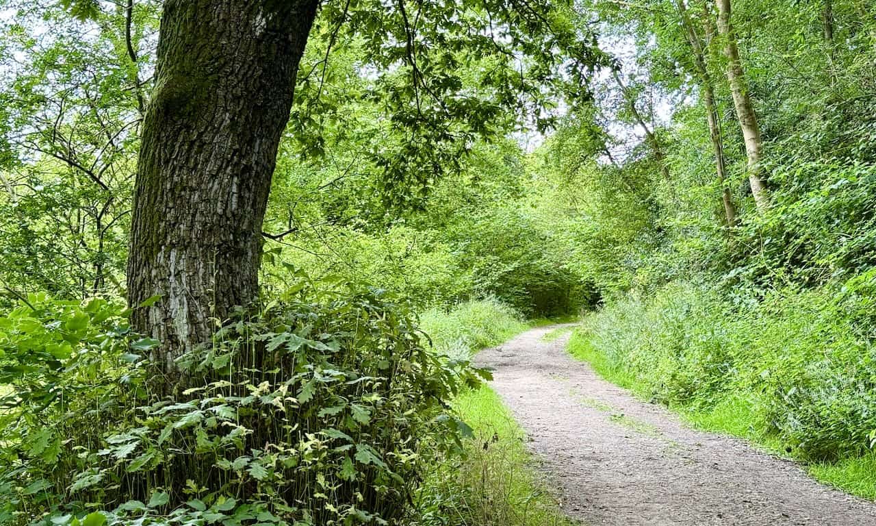 Well-maintained path through Nettle Dale, easy to walk on.
