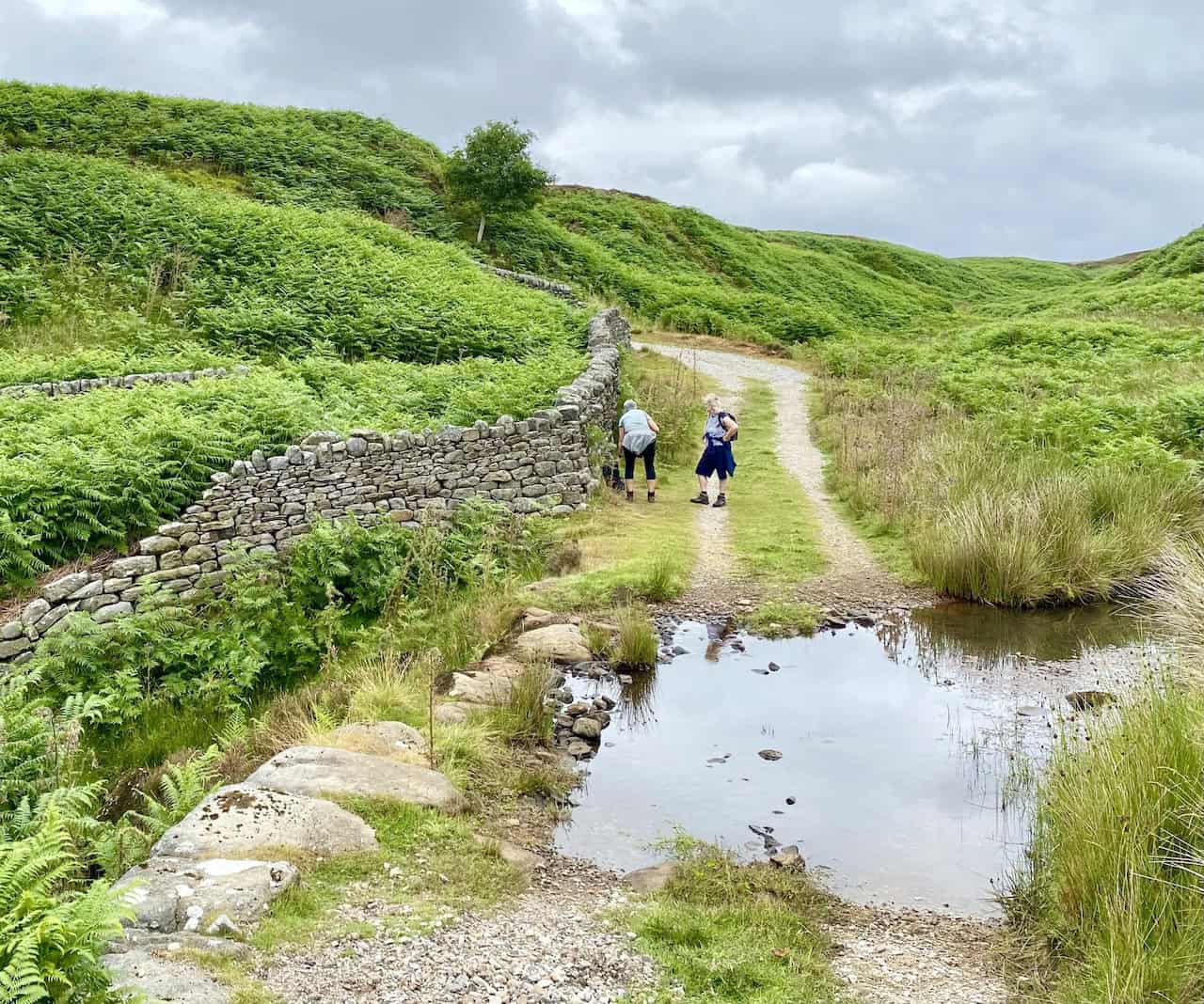 We encounter a ford on Pickles Gill Beck, east of Brown Hill, early in our Simon's Seat walk.