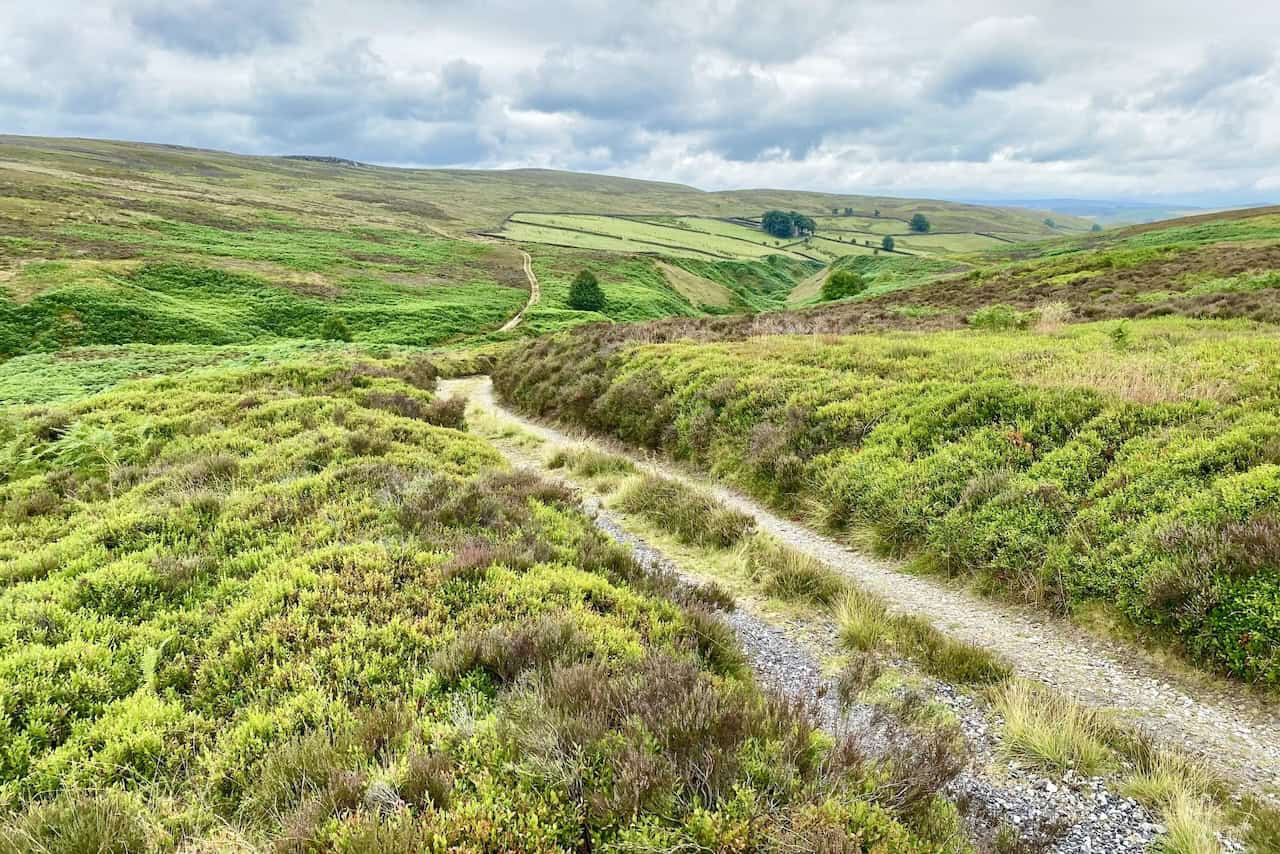 As we gaze south-west from Brown Hill, we’re treated to a splendid view of Pickles Gill, capturing the tranquil essence of the landscape.