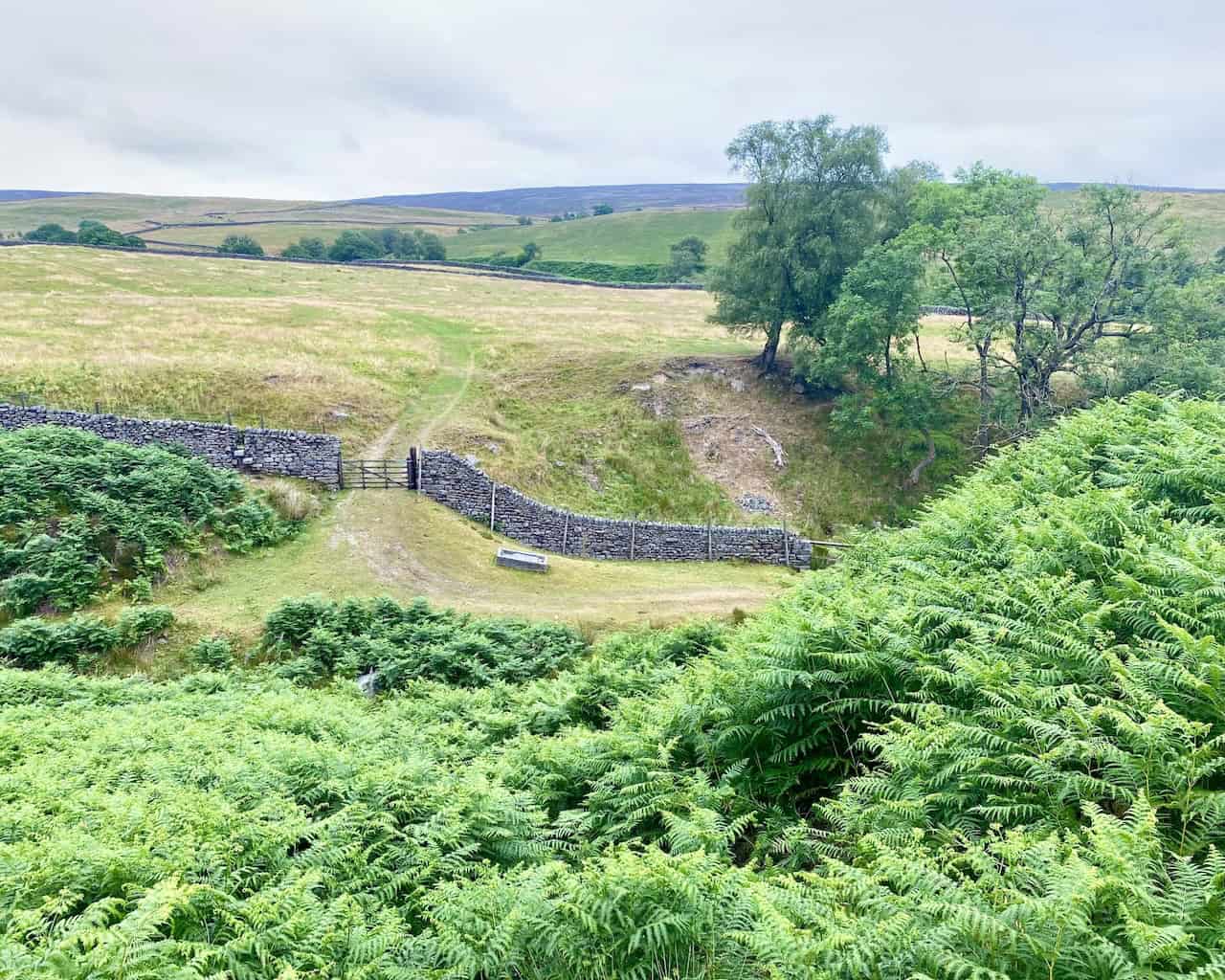 As we pass by farmland around Broadshawe on the southern side of Barden Fell, we realise we’re about three-quarters of the way through our Simon's Seat walk.