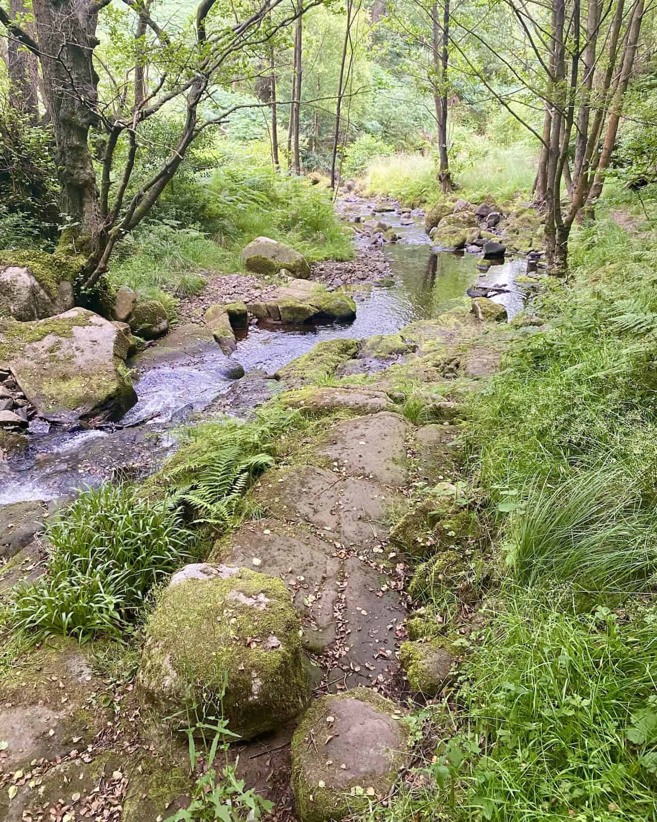 We follow Sheepshaw Beck as it meanders through the Valley of Desolation, a place steeped in history due to the devastation caused by a flood.