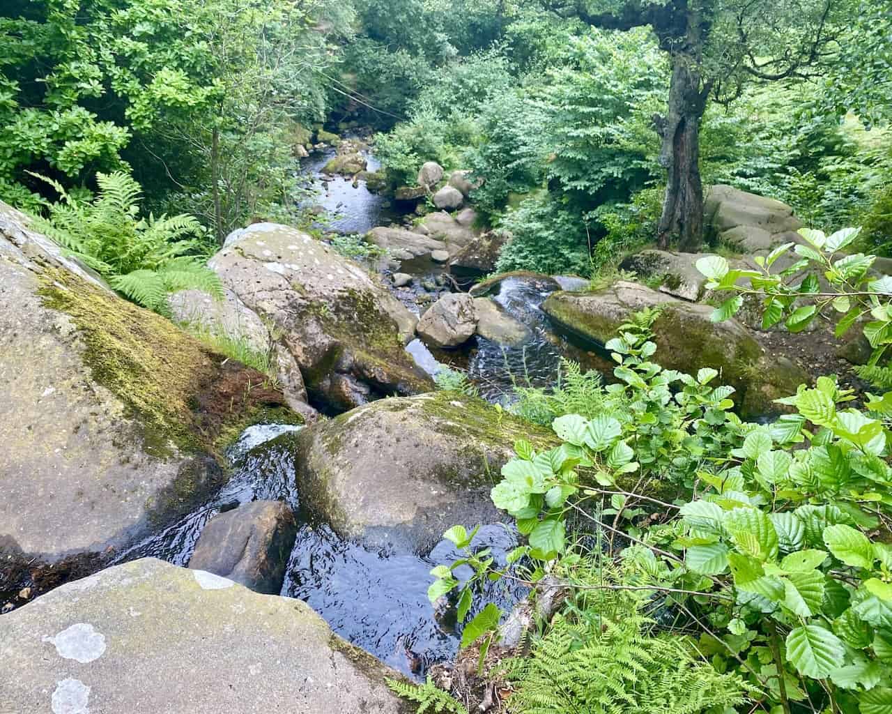 We follow Sheepshaw Beck as it meanders through the Valley of Desolation, a place steeped in history due to the devastation caused by a flood.